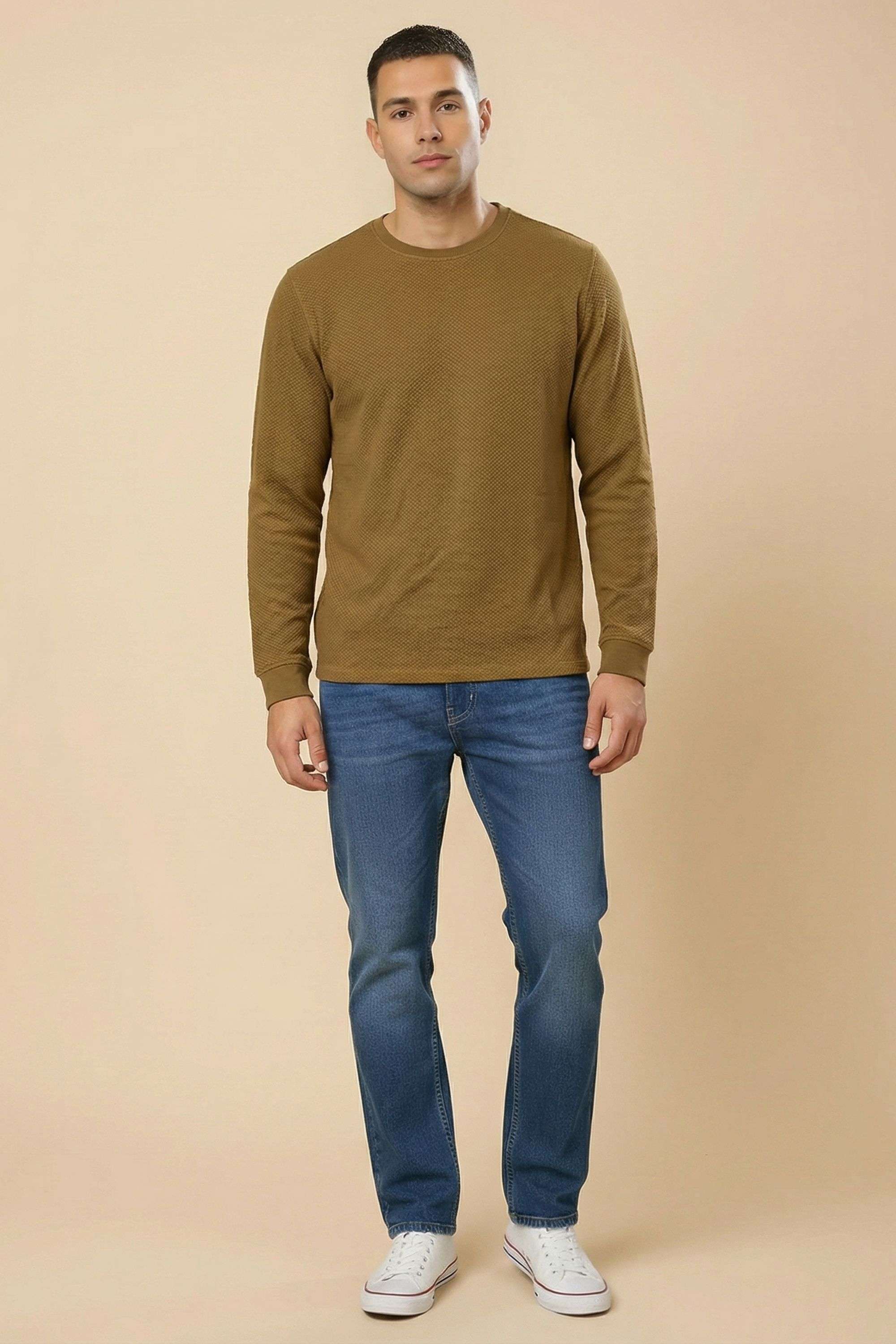 Solid-Cotton-Regular-Fit-Men-s-T-Shirt