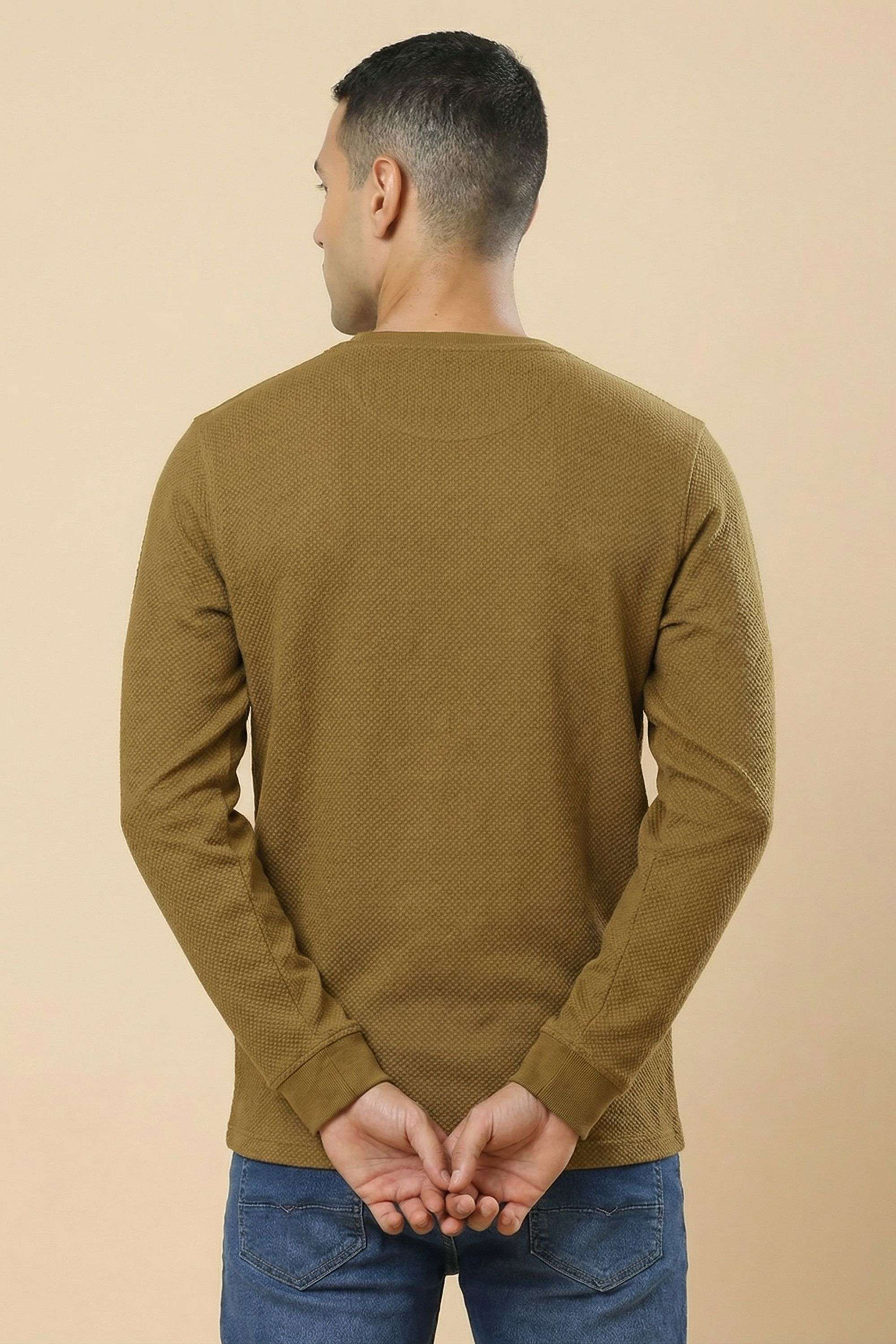 Solid-Cotton-Regular-Fit-Men-s-T-Shirt