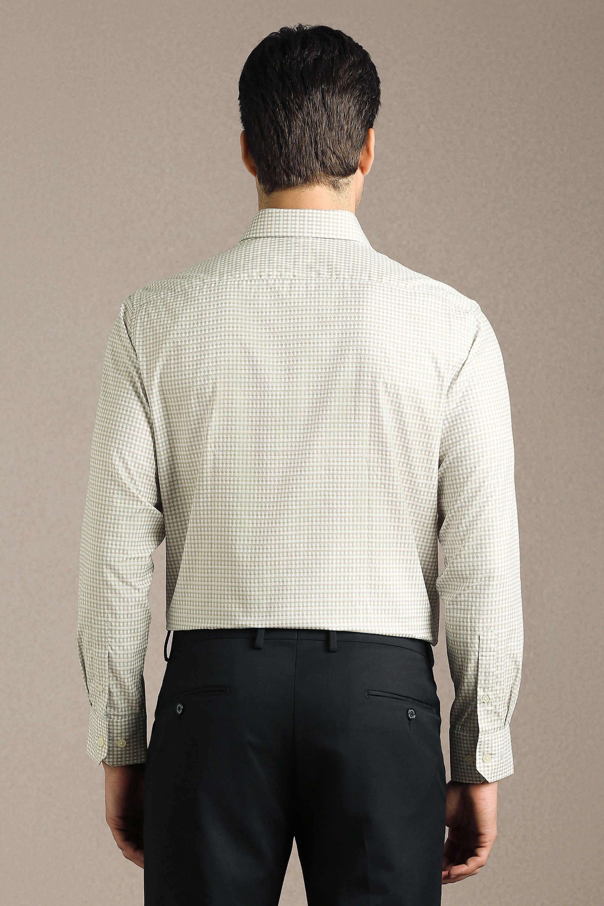Checks-Cotton-Regular-Fit-Men-Formal-Wear-Shirt