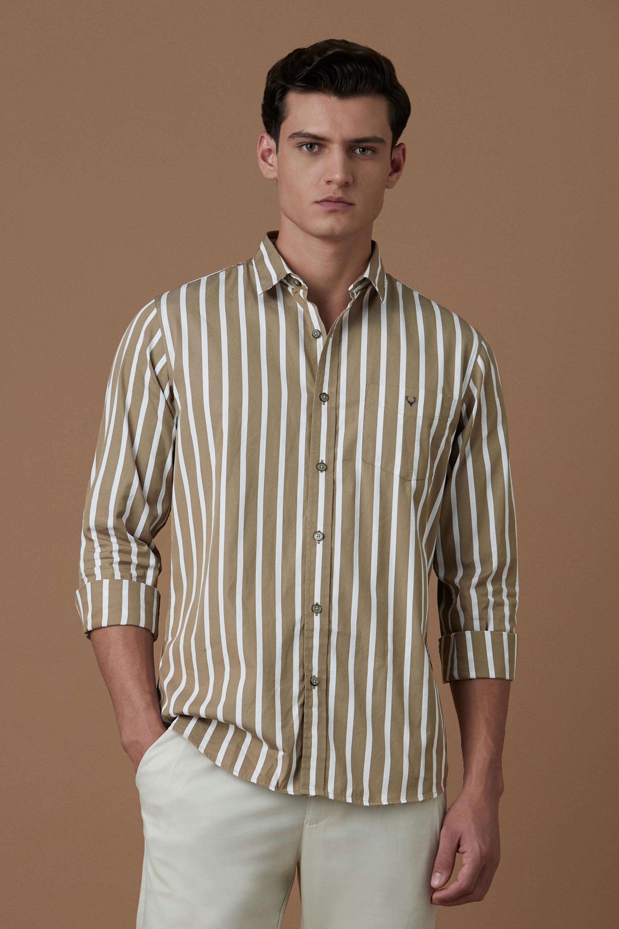Stripes-Cotton-Regular-Fit-Formal-Shirt