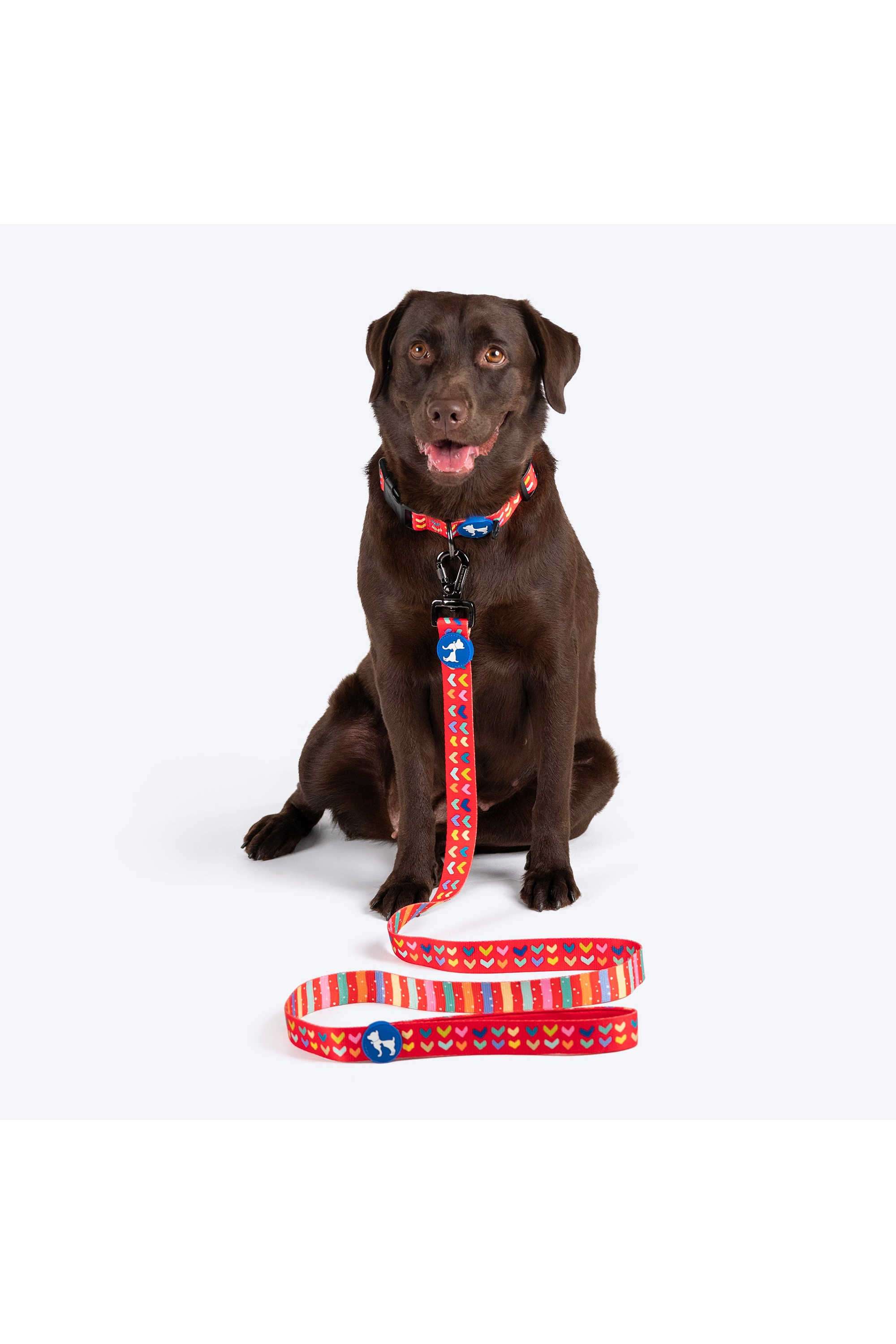 Heart-to-Heart-Leash-For-Dog