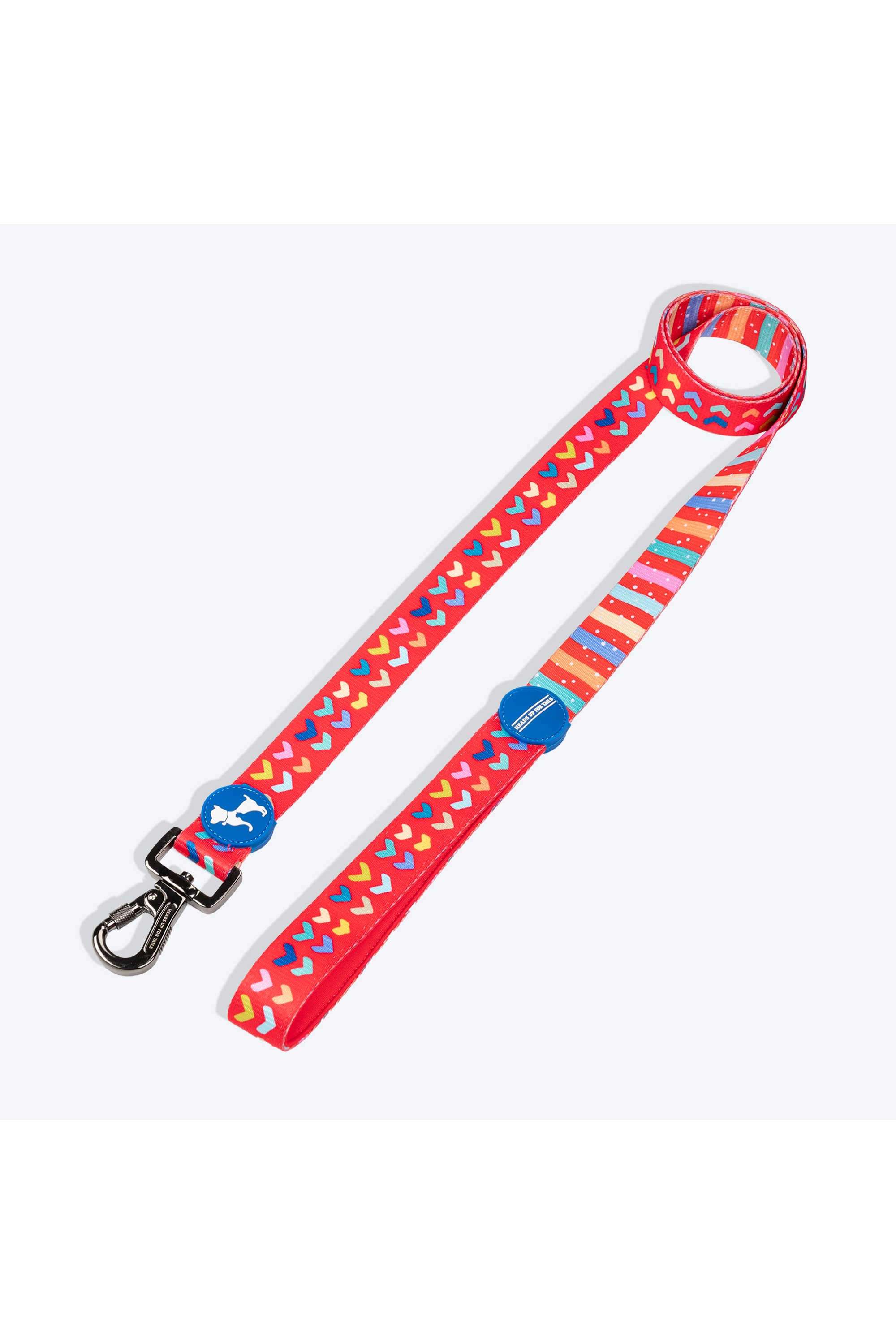 Heart-to-Heart-Leash-For-Dog