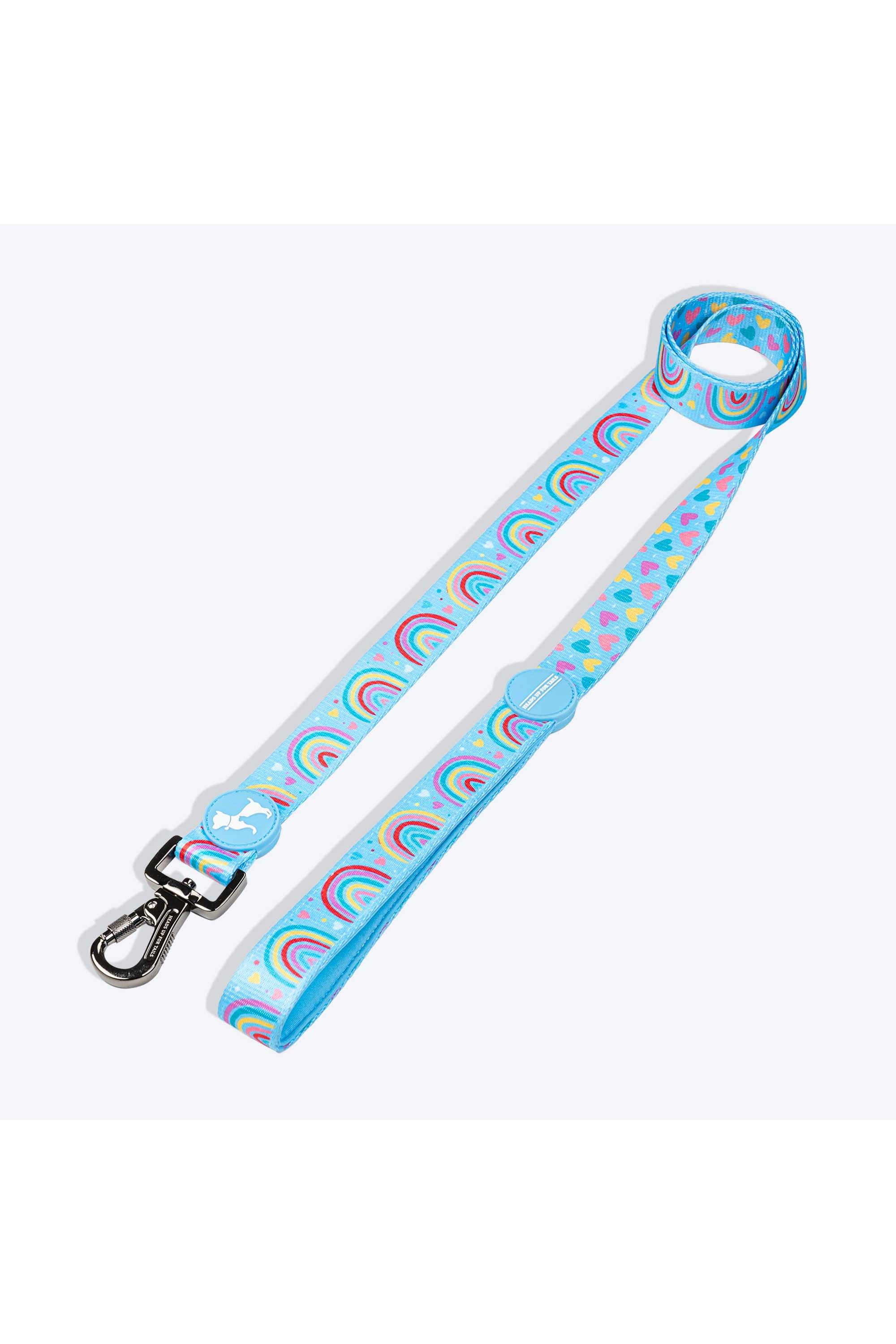Over-the-Rainbow-Leash-For-Dog