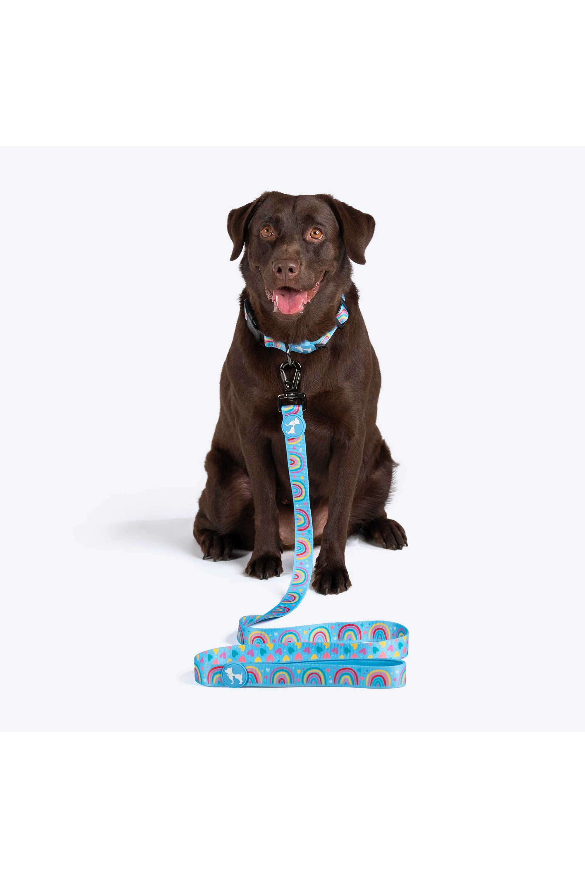 Over-the-Rainbow-Leash-For-Dog