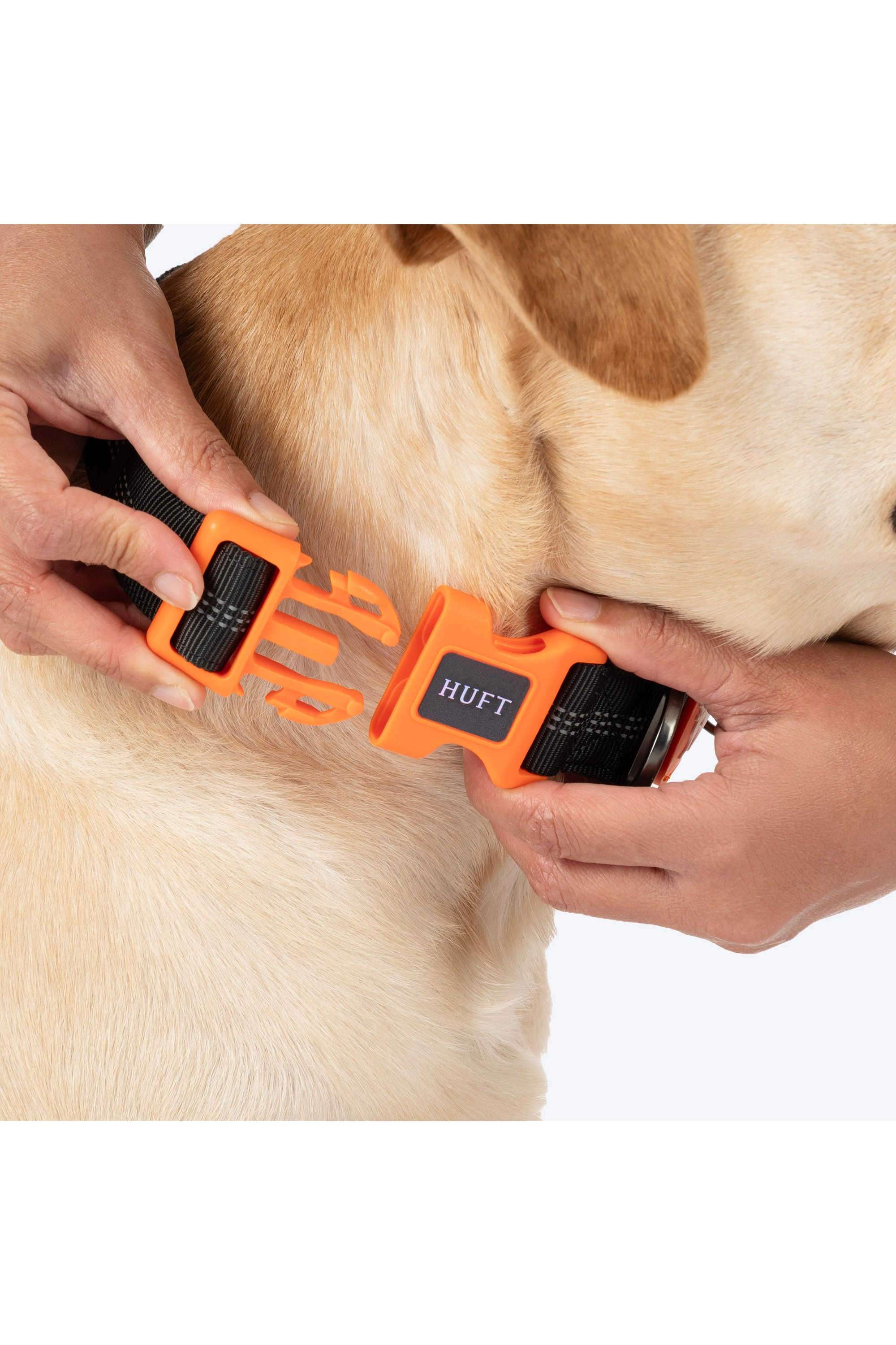 Buy Heads Up For Tails Black Xplorers Collar For Dog | Shoppers Stop
