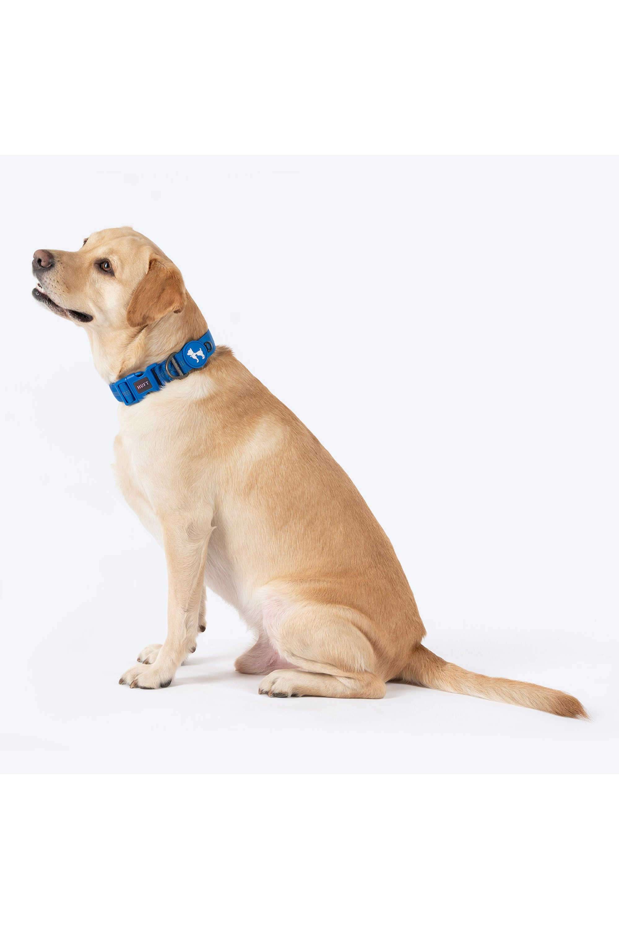 Xplorers-Collar-For-Dog