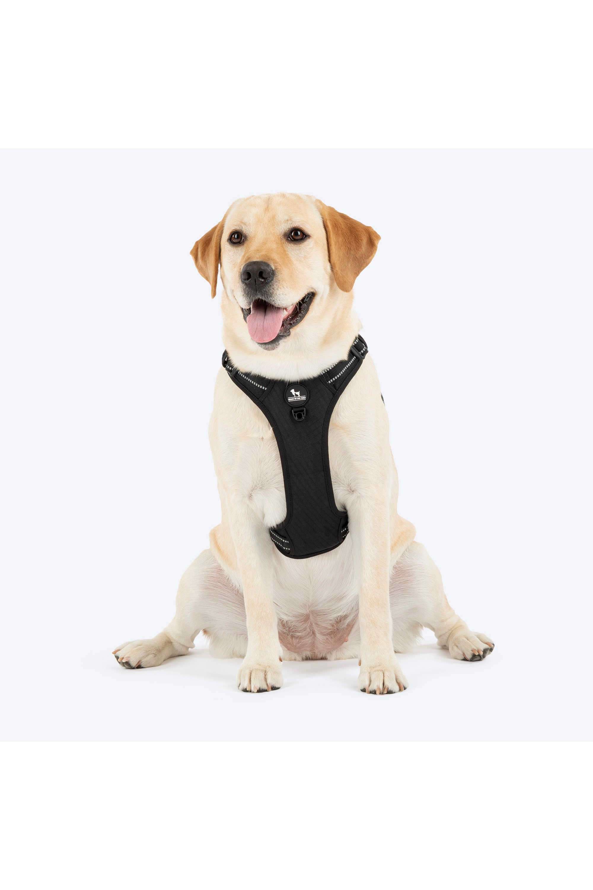 Xplorers-Harness-For-Dog