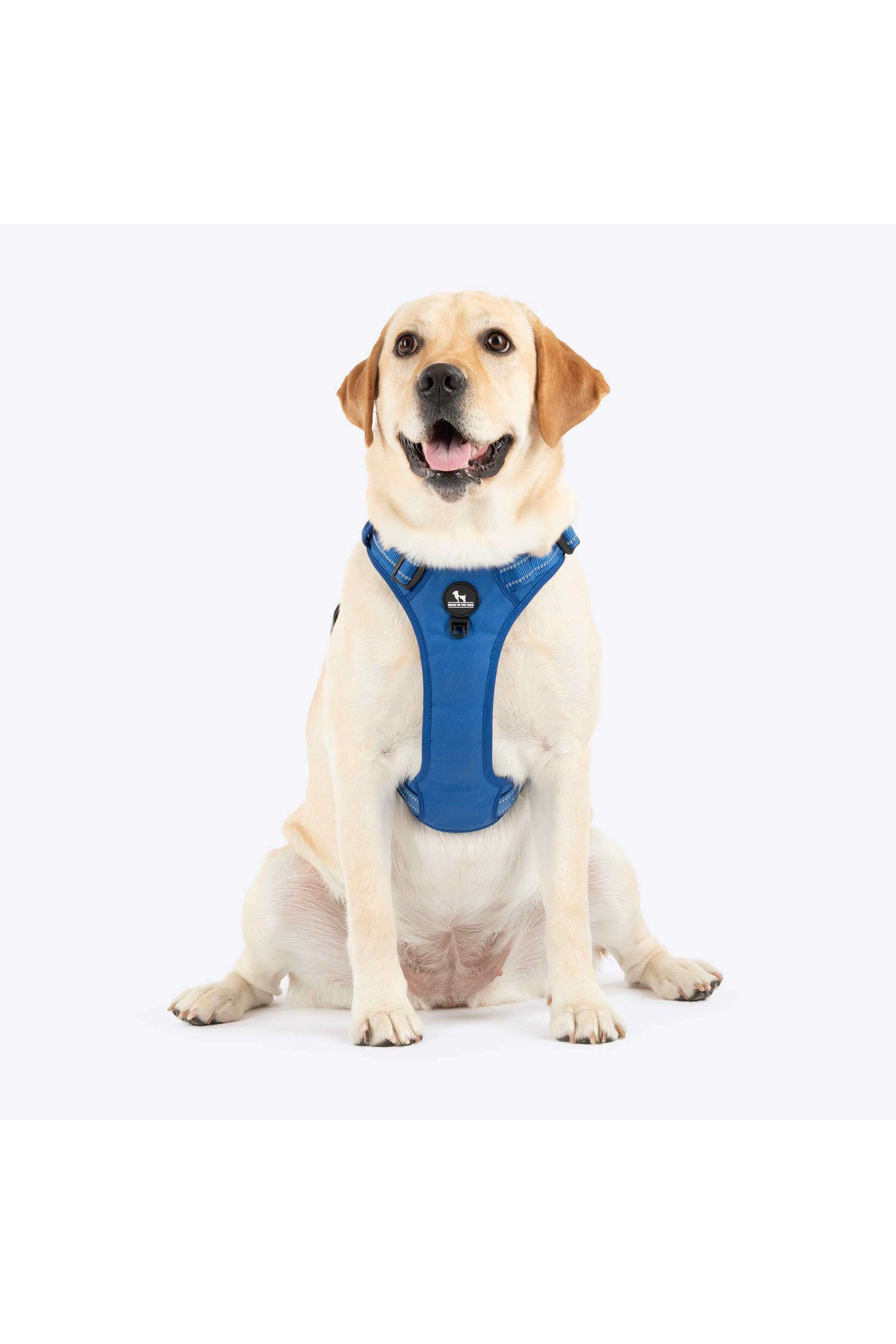 Xplorers-Harness-For-Dog
