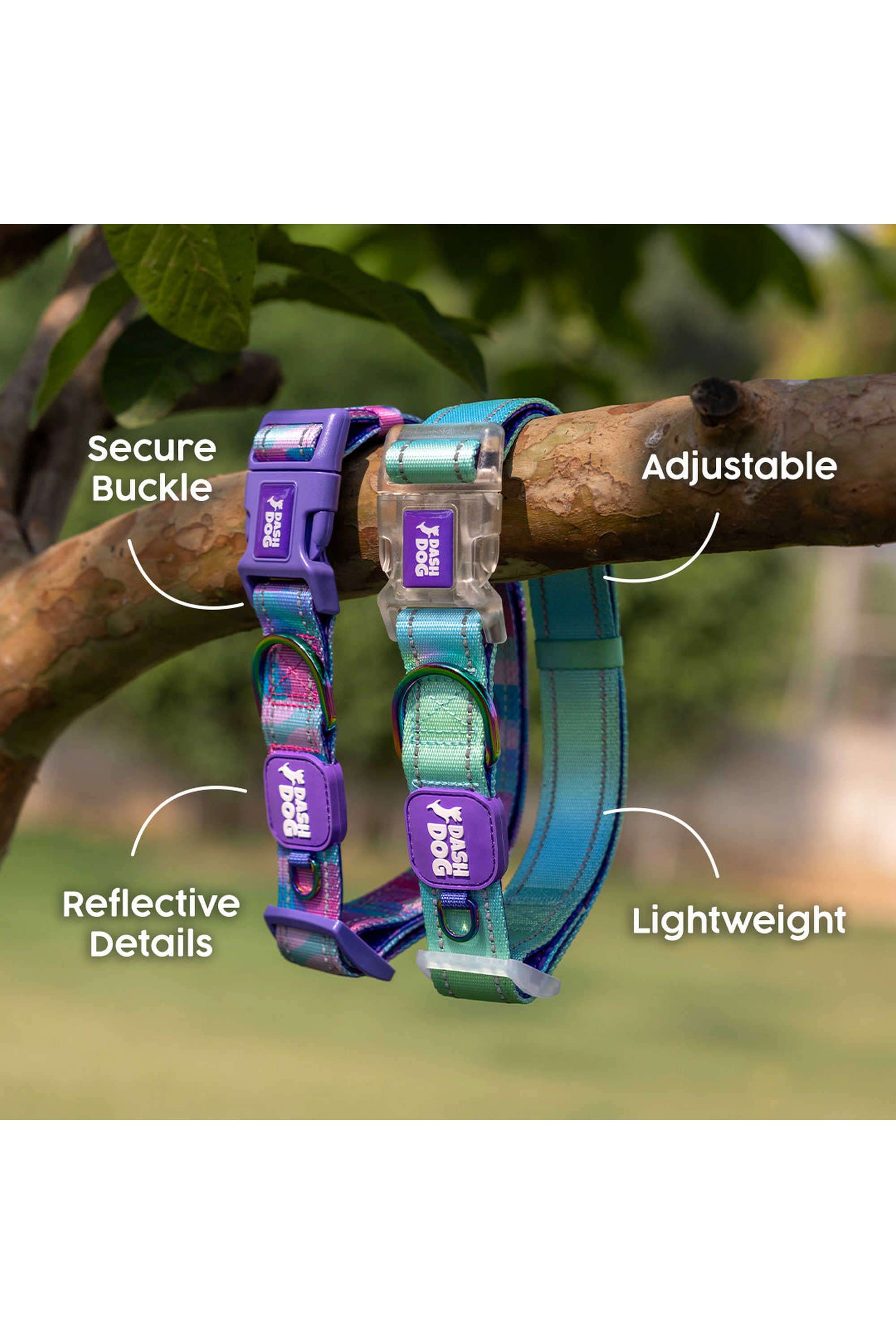 Dash-Dog-Ethernal-Fade-Padded-Collar-For-Dog