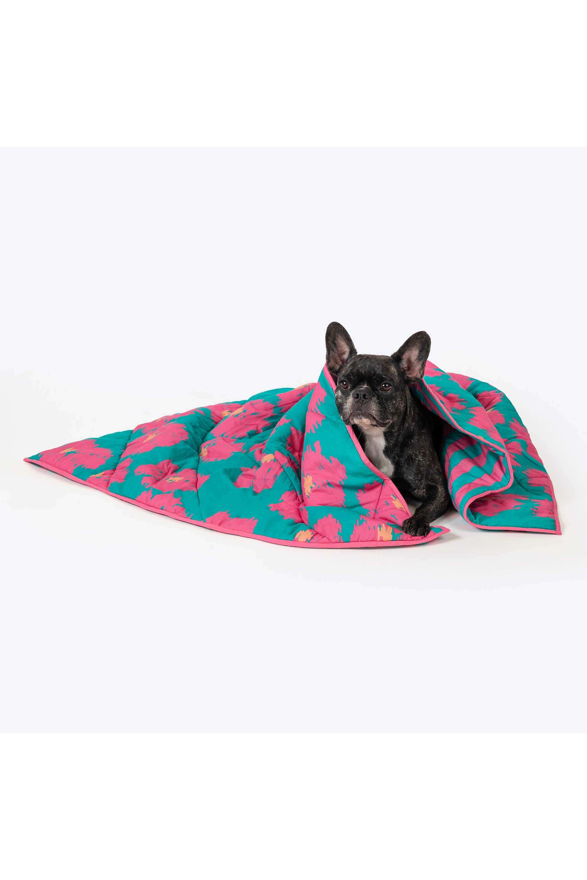 Pawsome-Blossom-Blanket-For-Dog-&-Cat