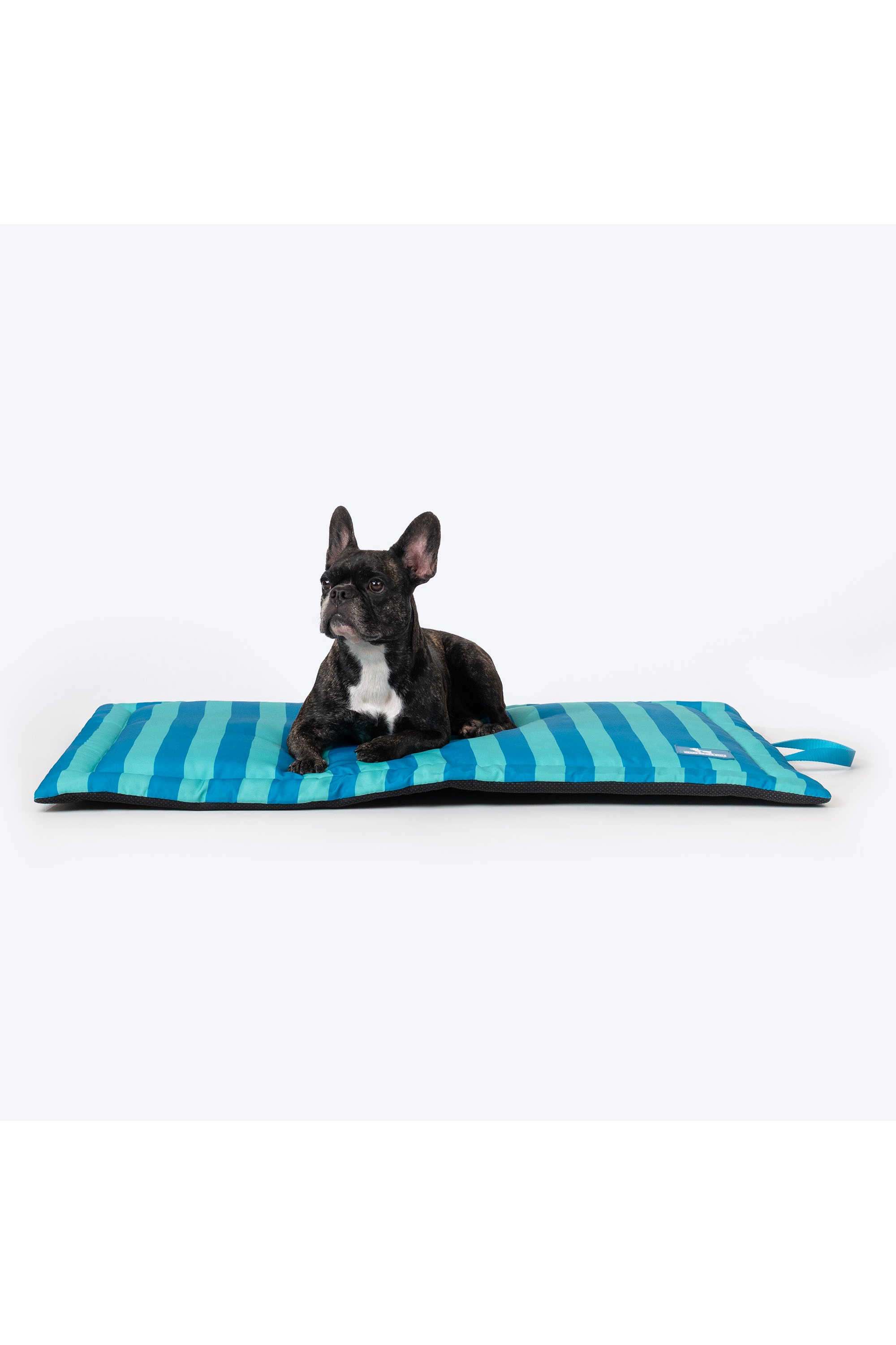 Happy-Stripes-Mat-For-Dog