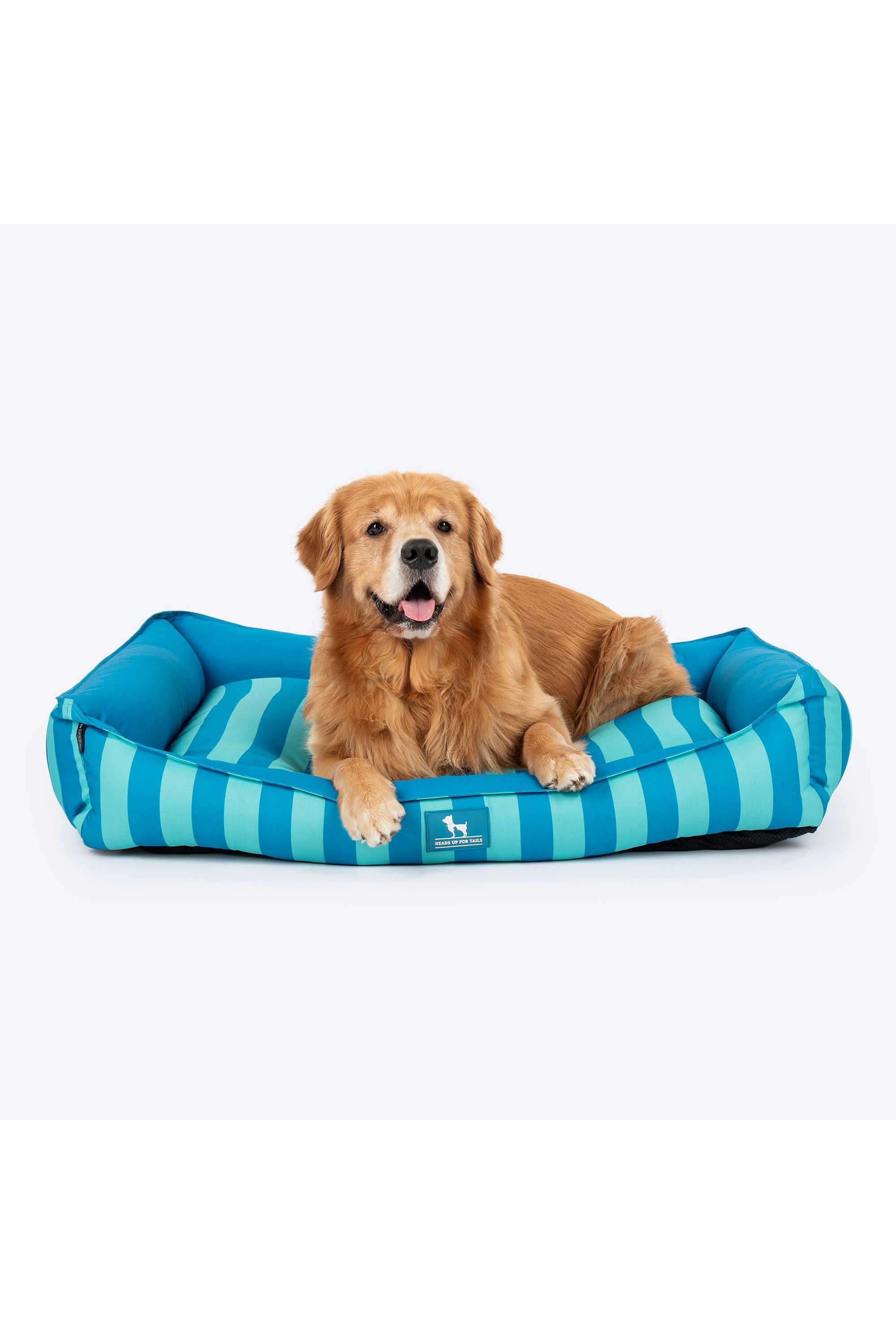 Happy-Stripes-Lounger-Bed-For-Dog