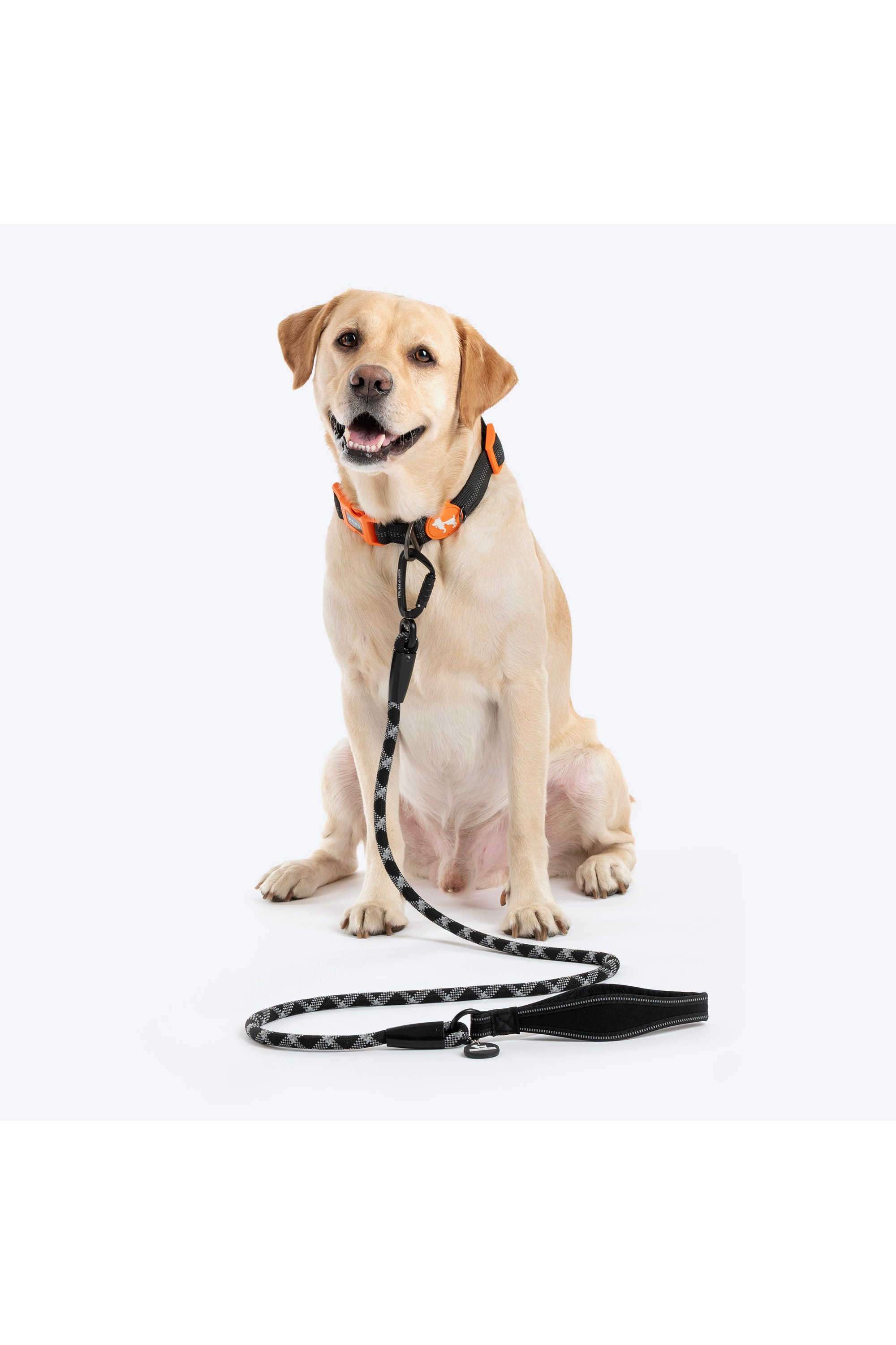 Xplorers-Rope-Leash-With-Carabiner-For-Dog---5-ft