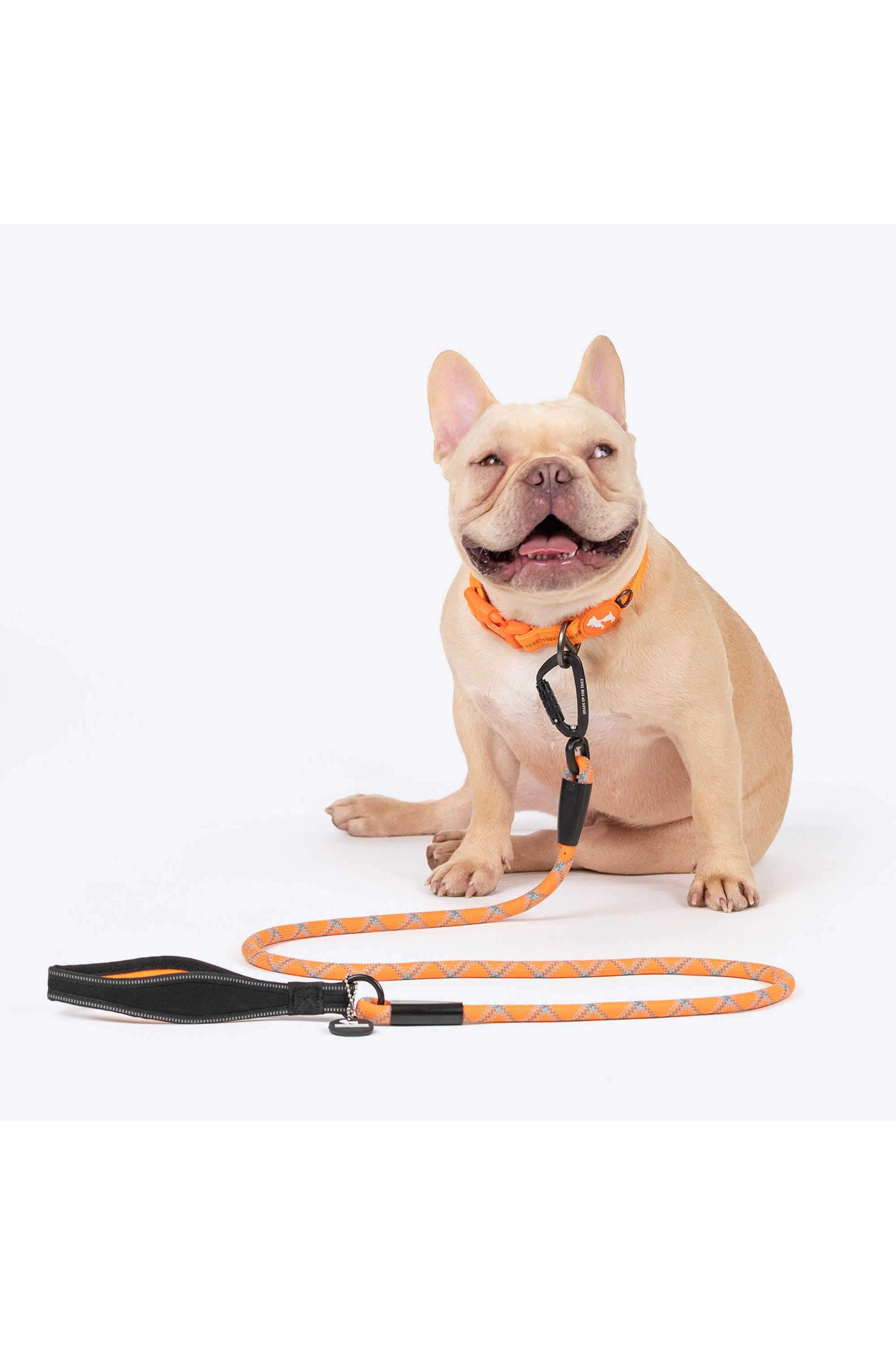 Xplorers-Rope-Leash-With-Carabiner-For-Dog---5-ft