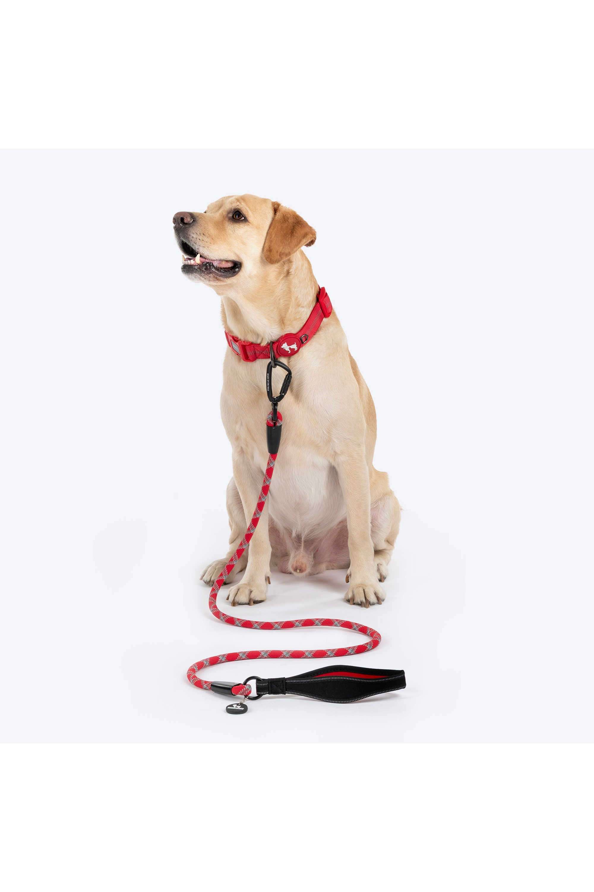 Xplorers-Rope-Leash-With-Carabiner-For-Dog---5-ft