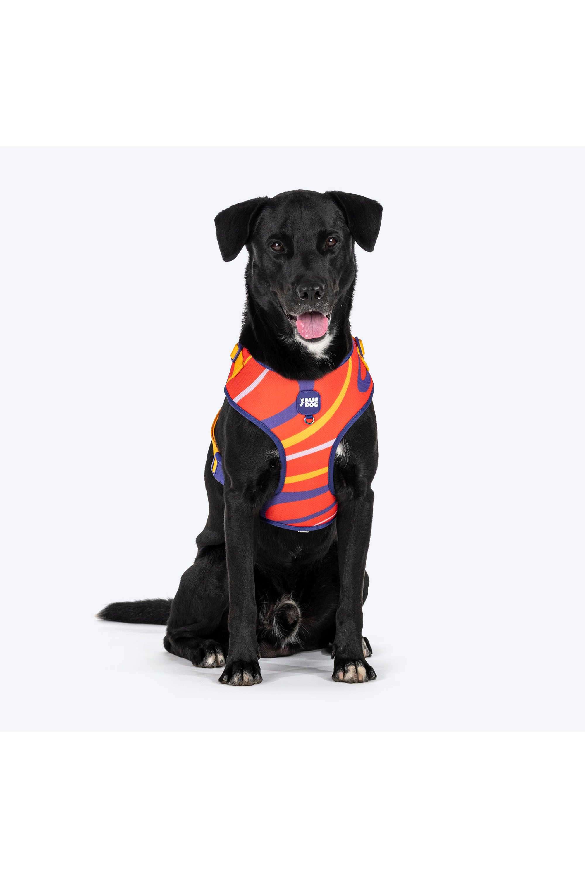 Dash-Dog-Radiant-Blaze-Easy-Walk-Harness-For-Dog