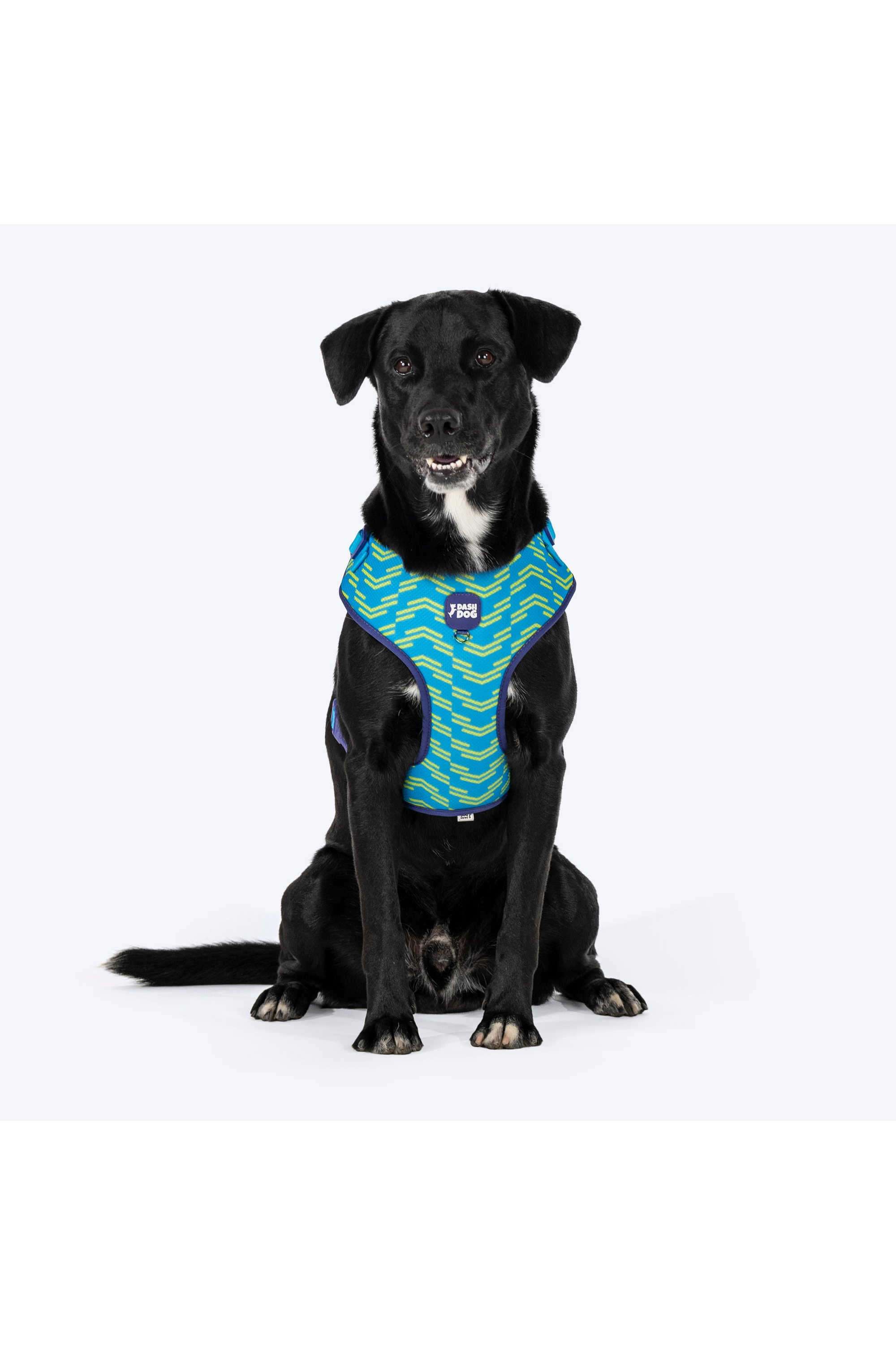 Dash-Dog-Vector-Easy-Walk-Harness-For-Dog