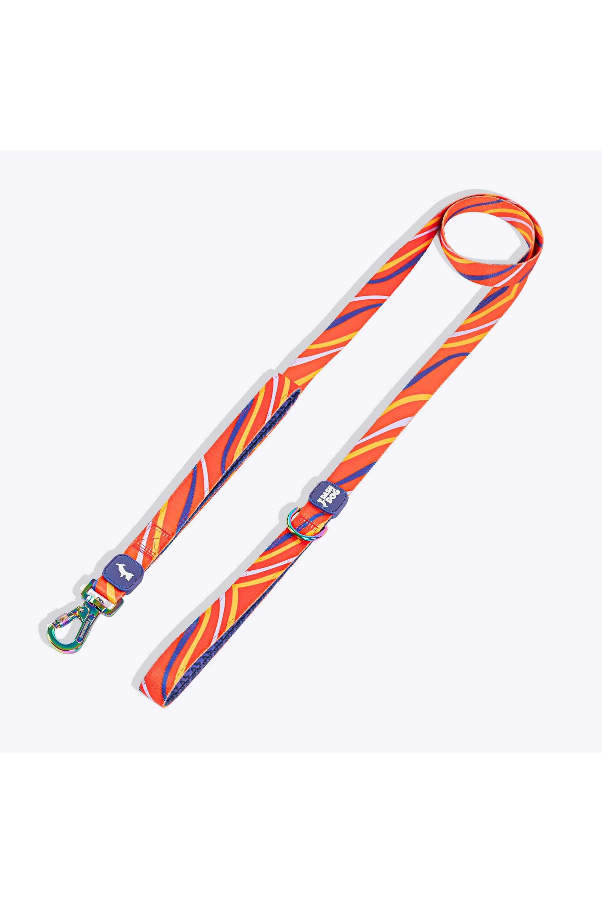 Dash-Dog-Radiant-Blaze-Dual-Handle-Leash-For-Dog
