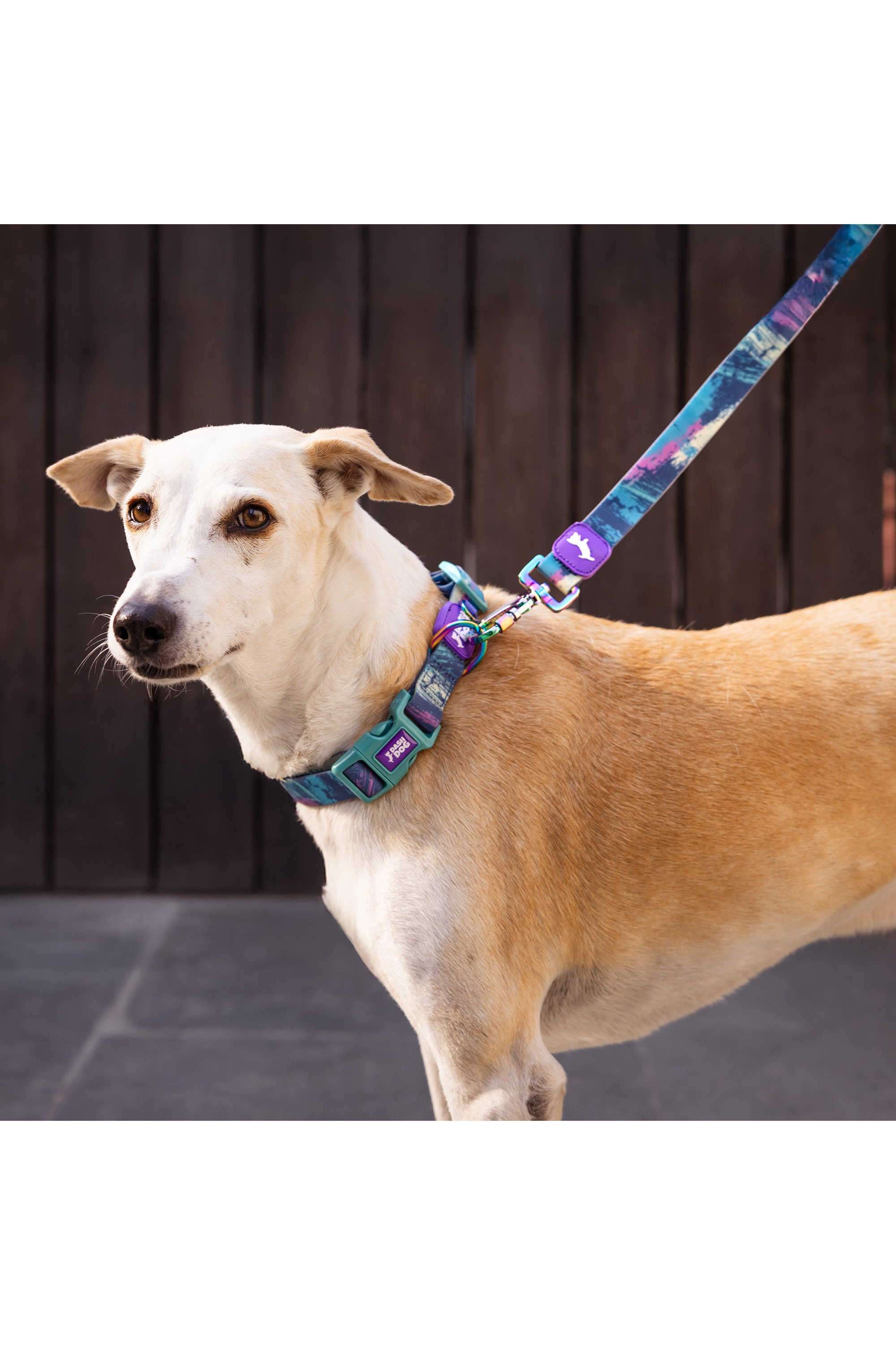 Dash-Dog-Wild-Ridge-Waterproof-Dog-Collar-&-Leash-Set