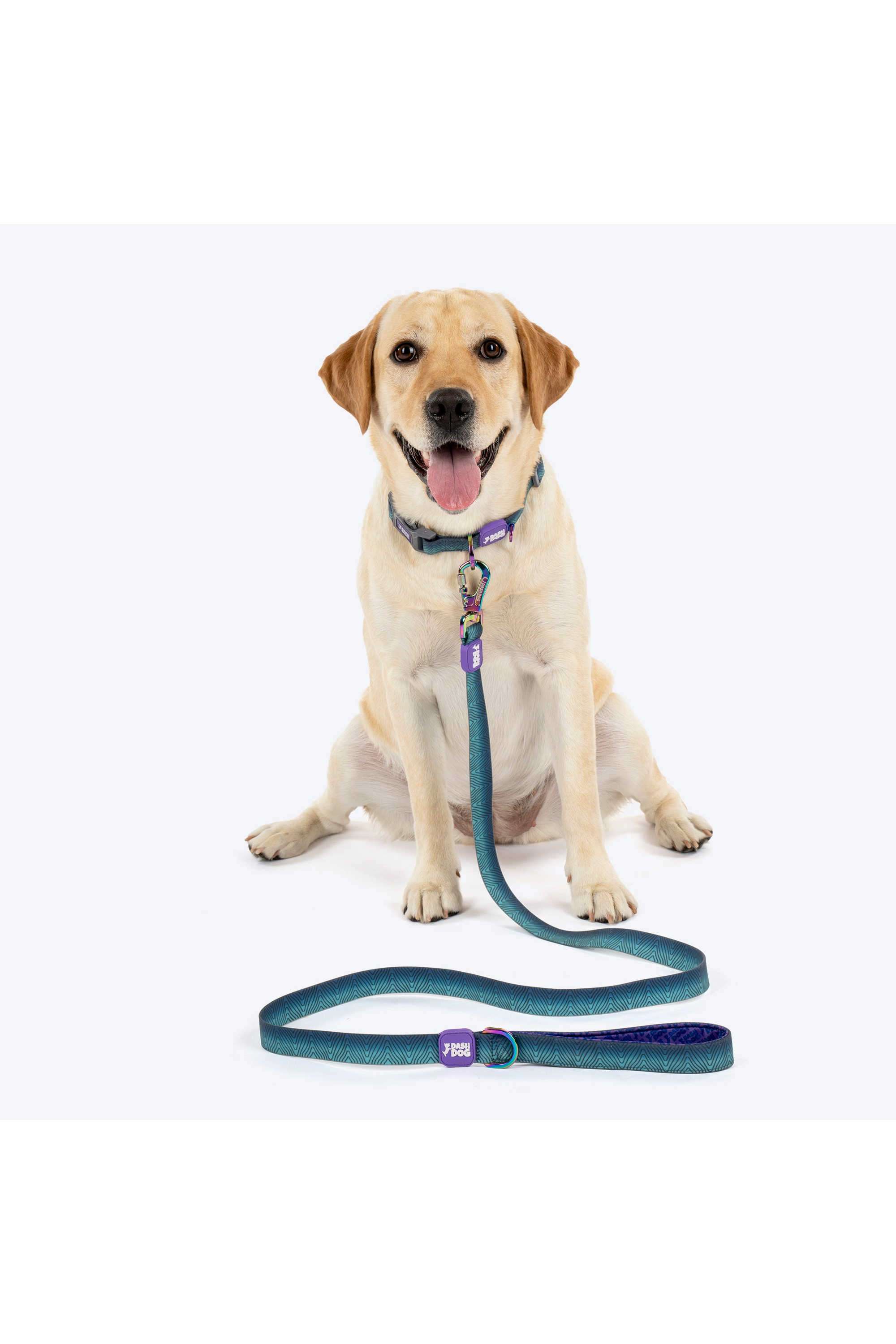 Dash-Dog-Trail-Tails-Waterproof-Dog-Collar-&-Leash-Set