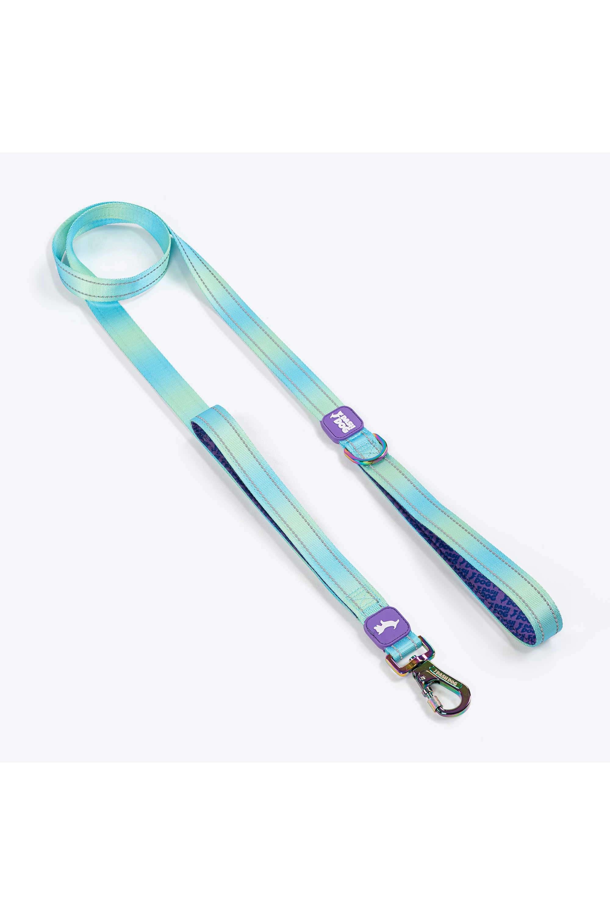 Dash-Dog-Ethernal-Fade-Dual-Handle-Leash-For-Dog