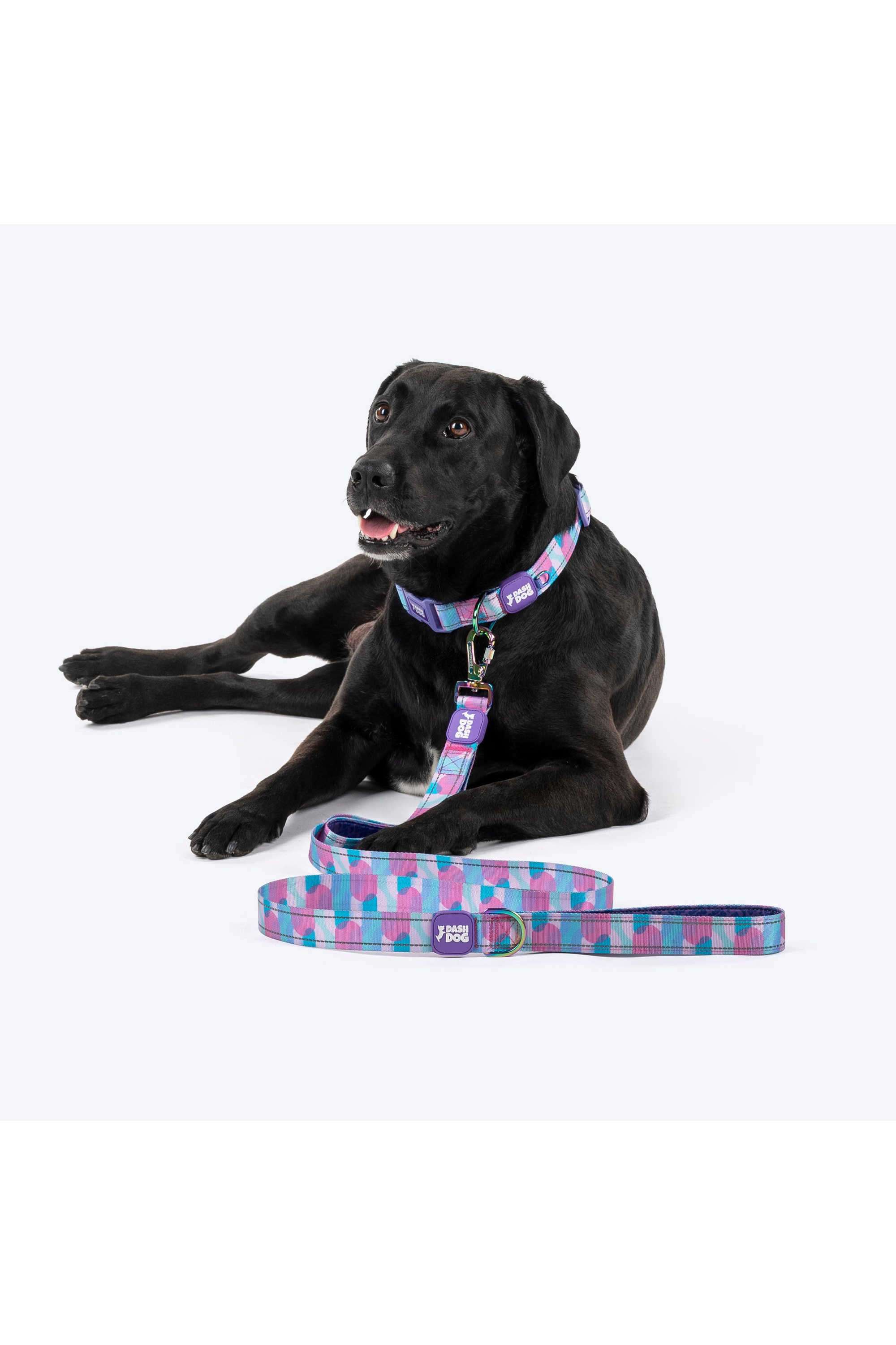 Dash-Dog-Galaxy-Dual-Handle-Leash-For-Dog