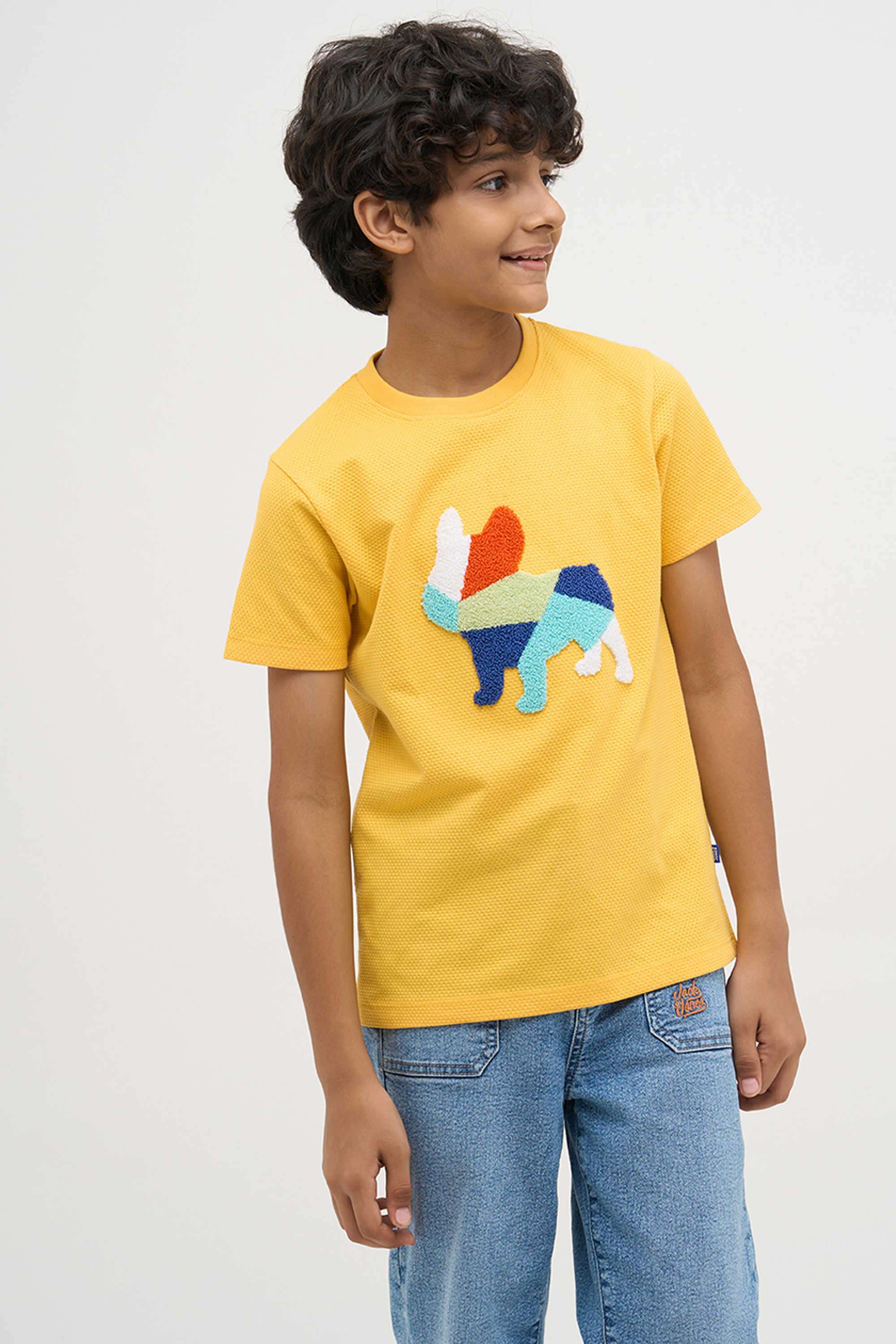 Textured-Cotton-Round-Neck-Boys-T-Shirt