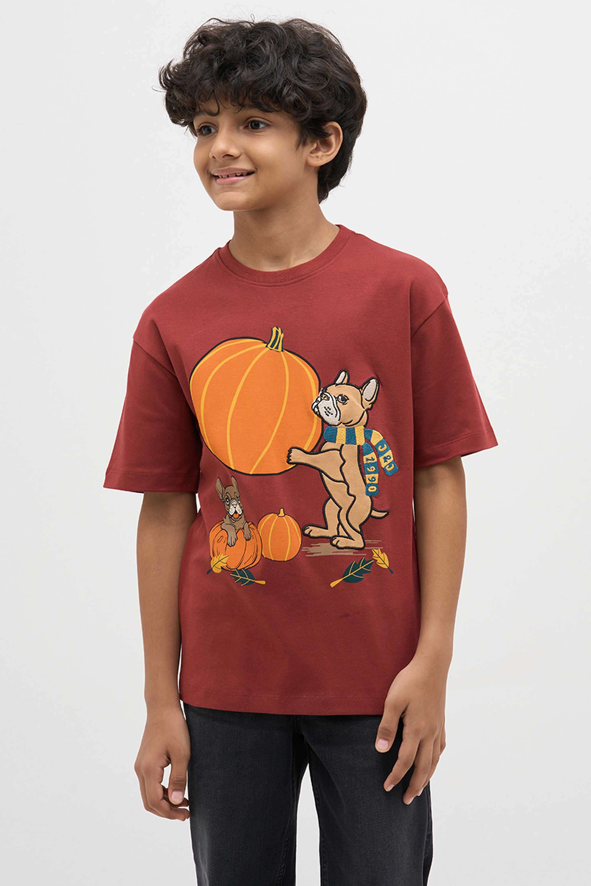 Textured-Cotton-Round-Neck-Boys-T-Shirt