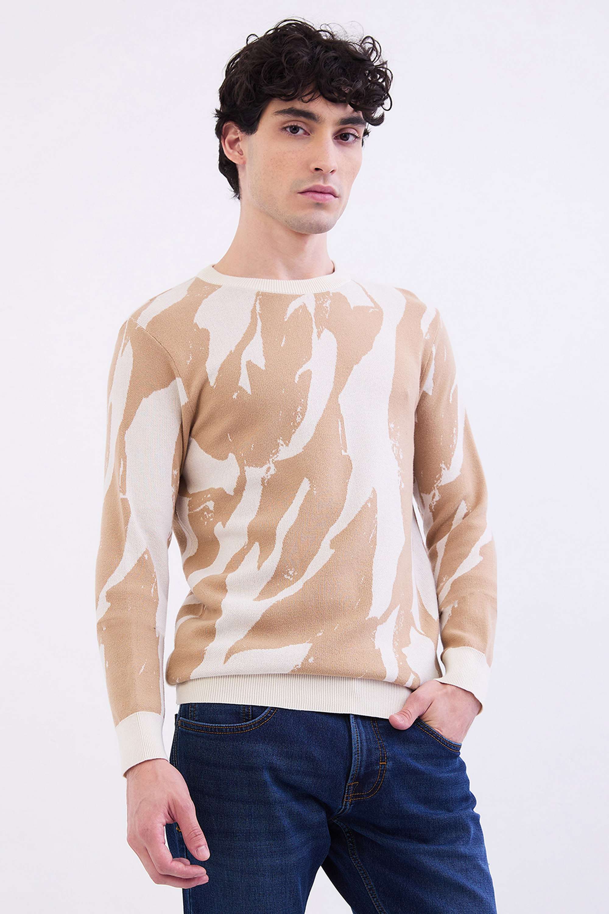 Buy Spykar Beige Printed Cotton Slim Fit Men Sweater | Shoppers Stop