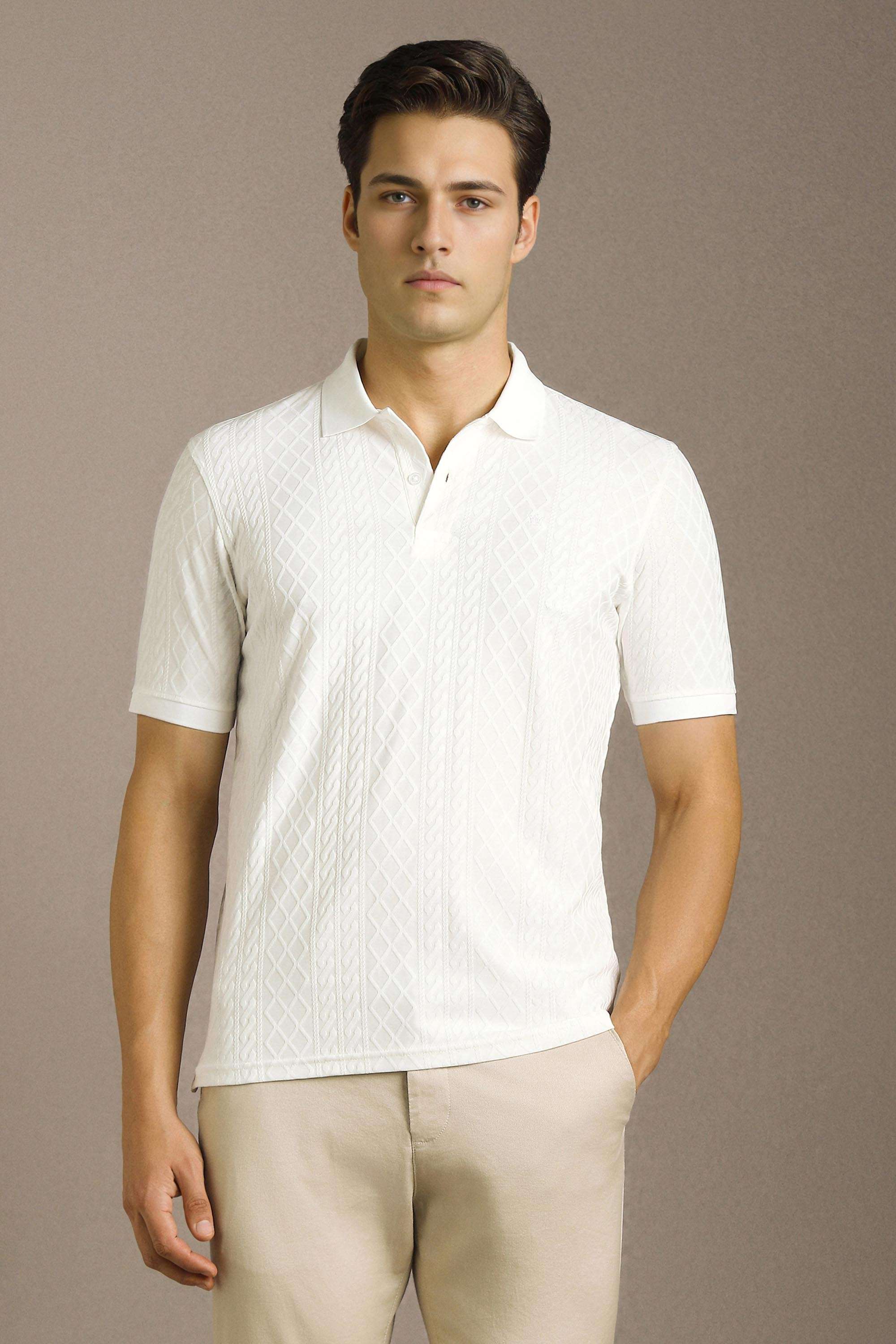 Textured-Cotton-Regular-Fit-Men-Polo-T-Shirt