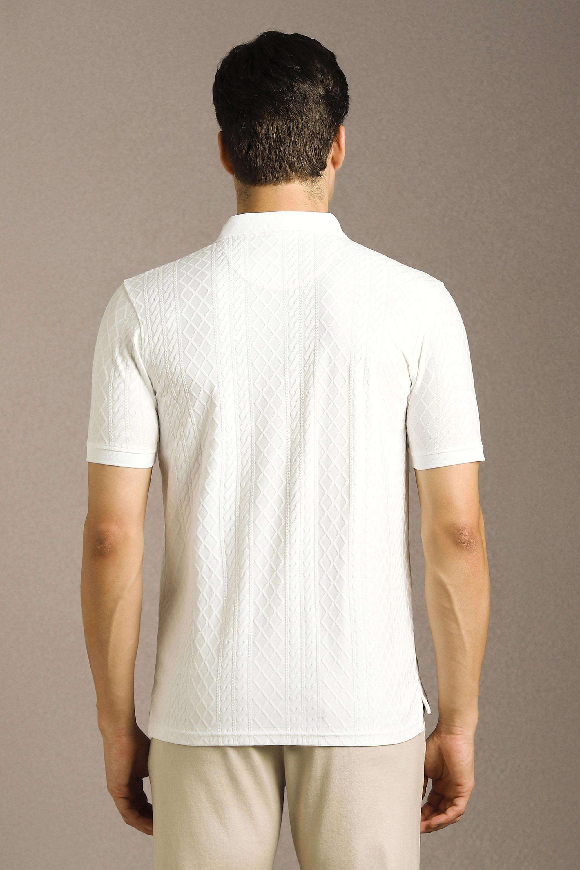 Textured-Cotton-Regular-Fit-Men-Polo-T-Shirt