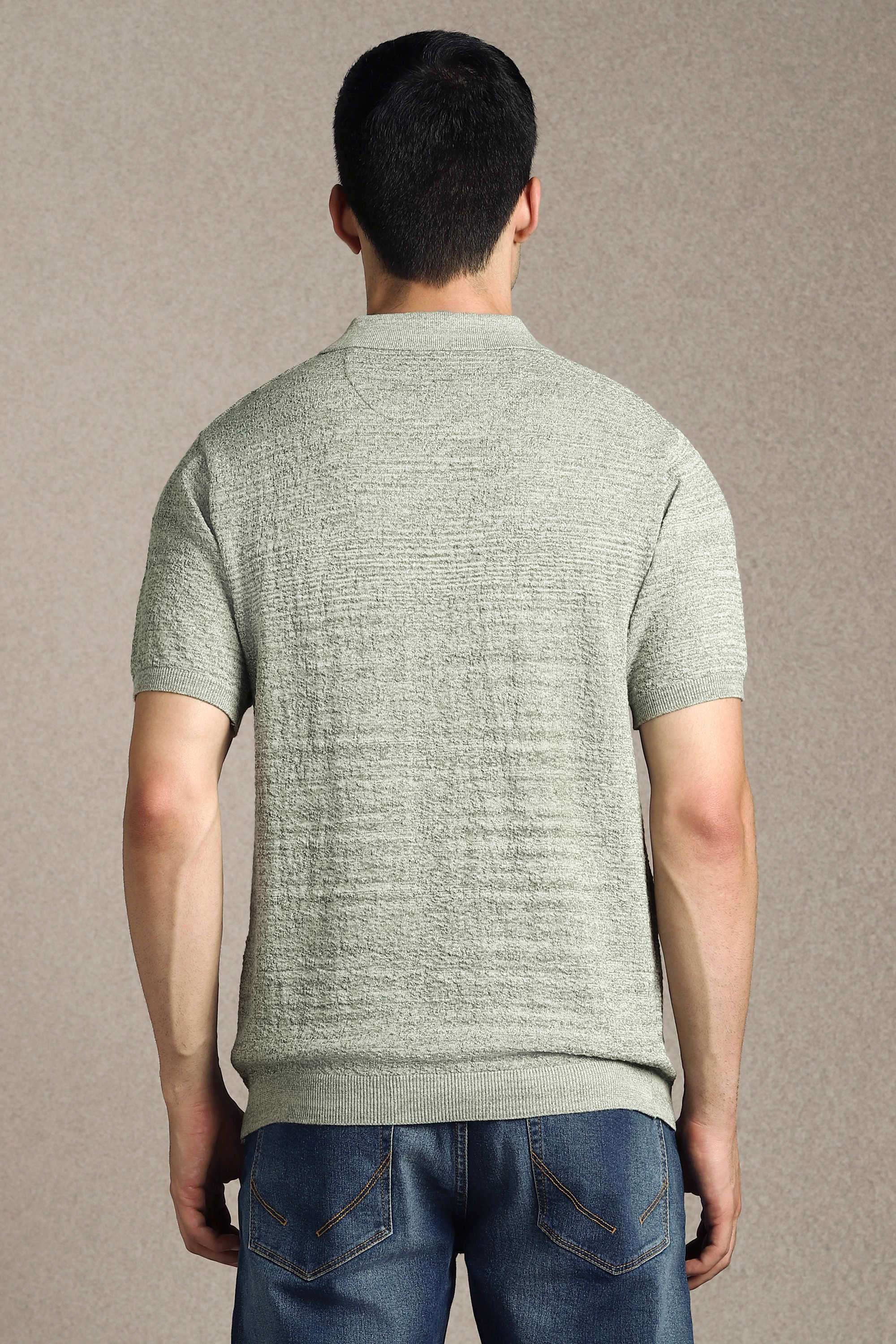 Textured-Cotton-Regular-Fit-Men-Polo-T-Shirt
