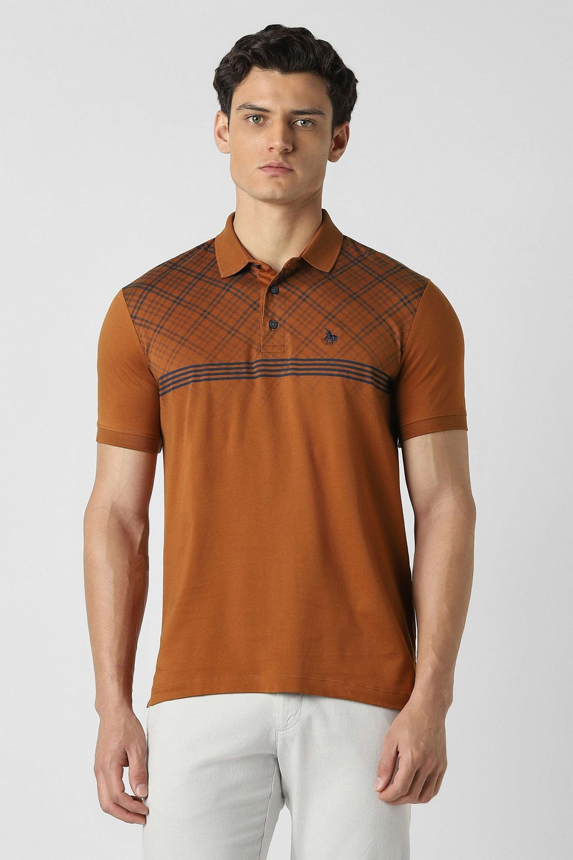 Checks-Cotton-Regular-Fit-Men-Polo-T-Shirt