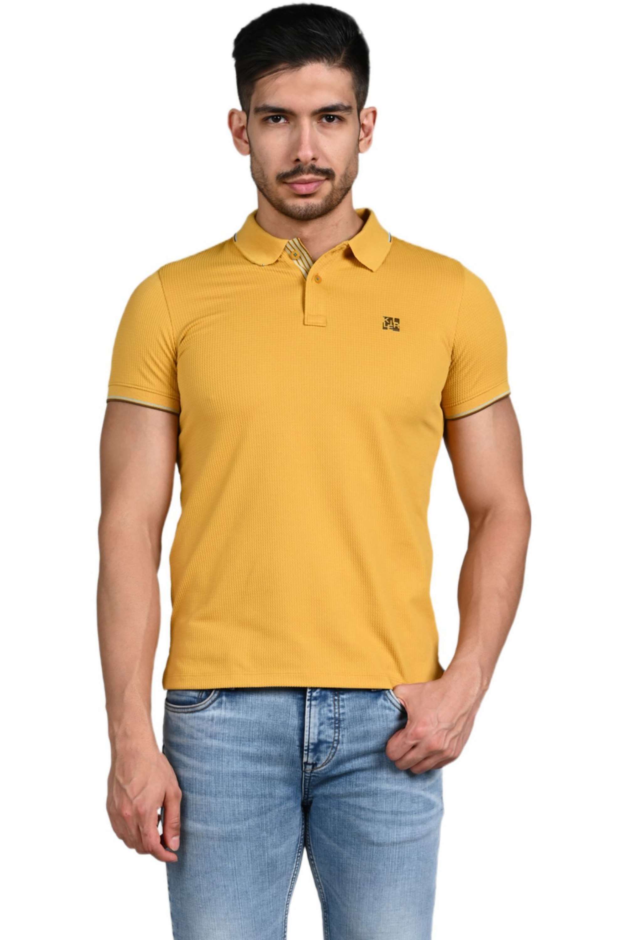 Solid-Cotton-Blend-Regular-Fit-Men-Polo-T-Shirt