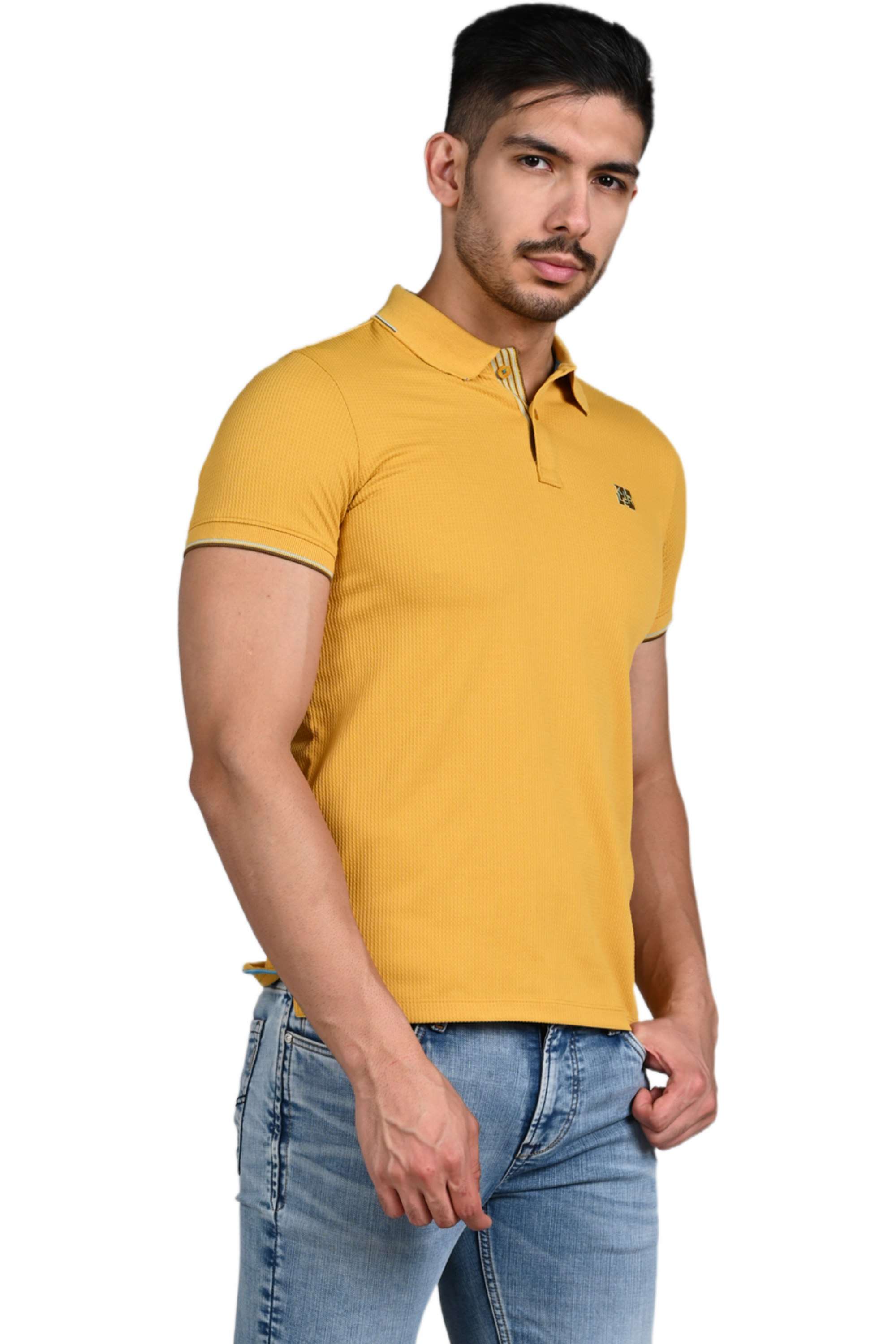 Solid-Cotton-Blend-Regular-Fit-Men-Polo-T-Shirt