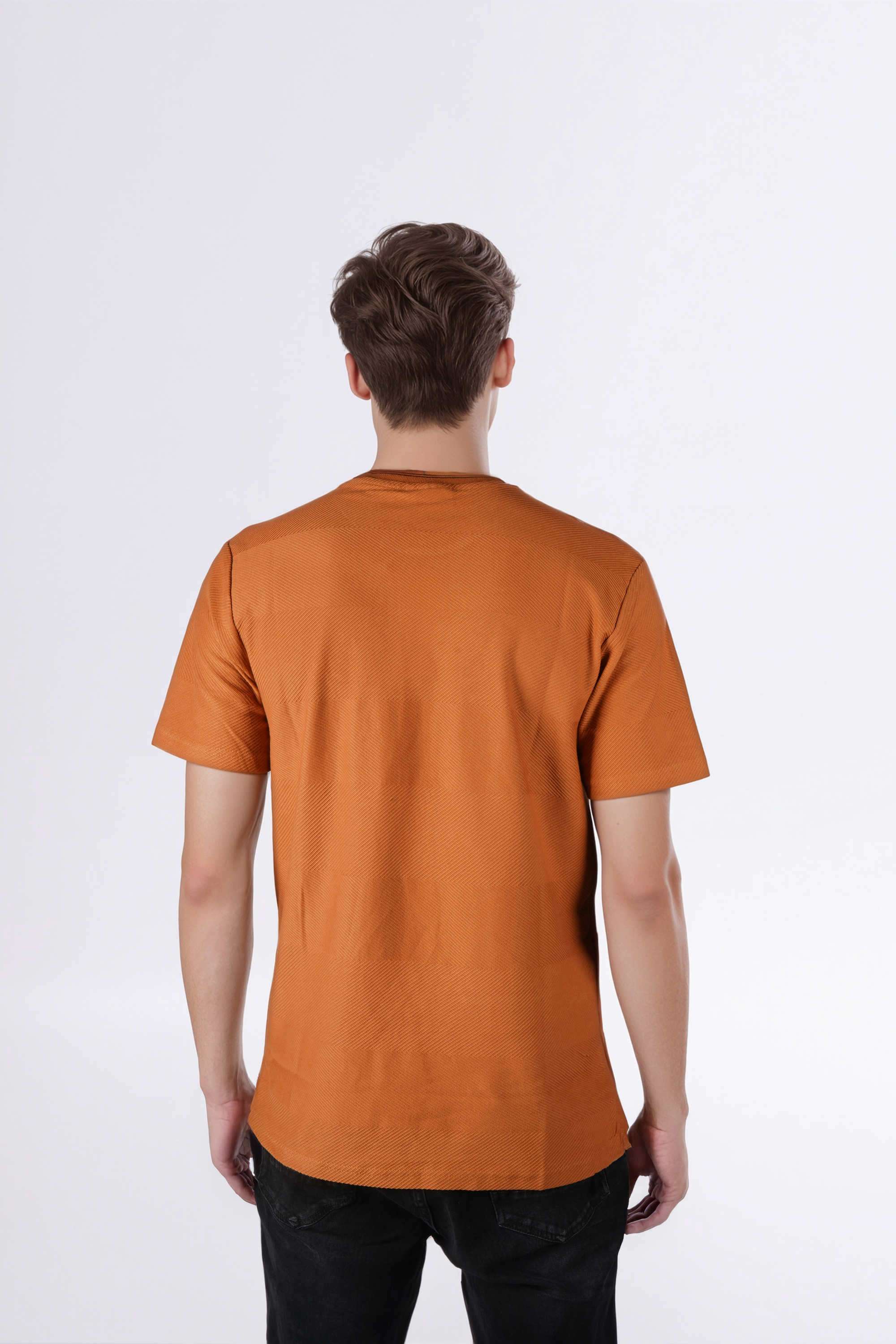 Solid-Cotton-Regular-Fit-Men-T-Shirt
