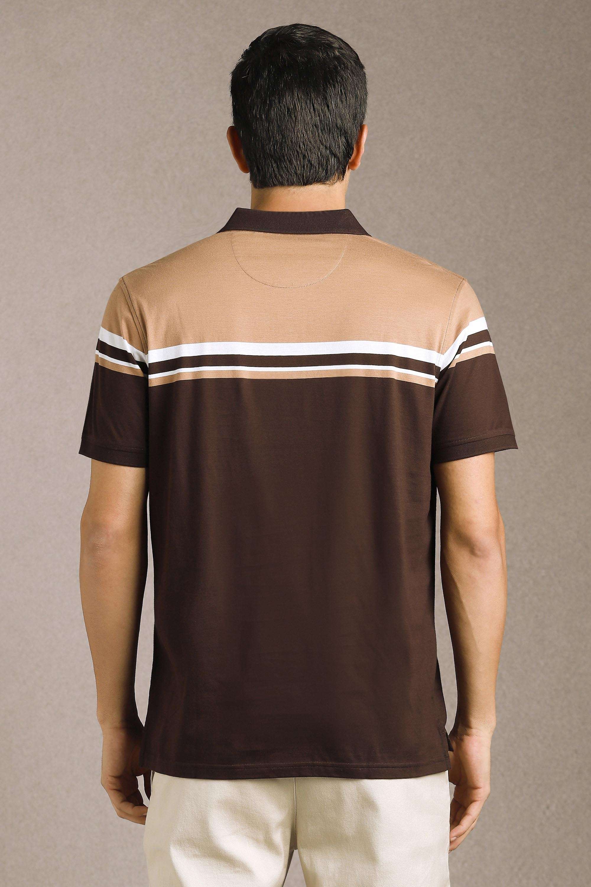 Stripes-Cotton-Regular-Fit-Men-Polo-T-Shirt