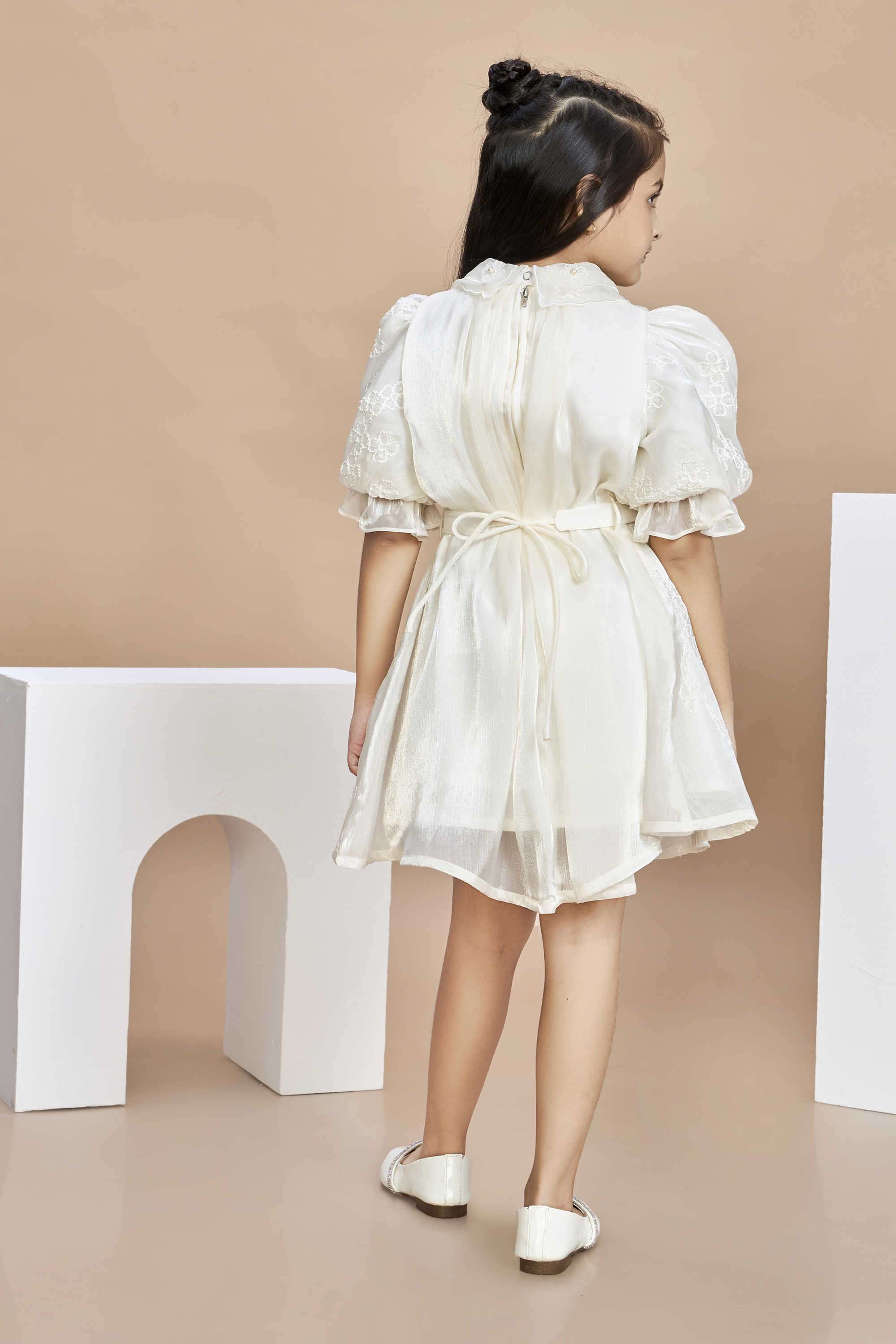 Embroidered-Polyester-Collared-Girl-s-Festive-Wear-Dress