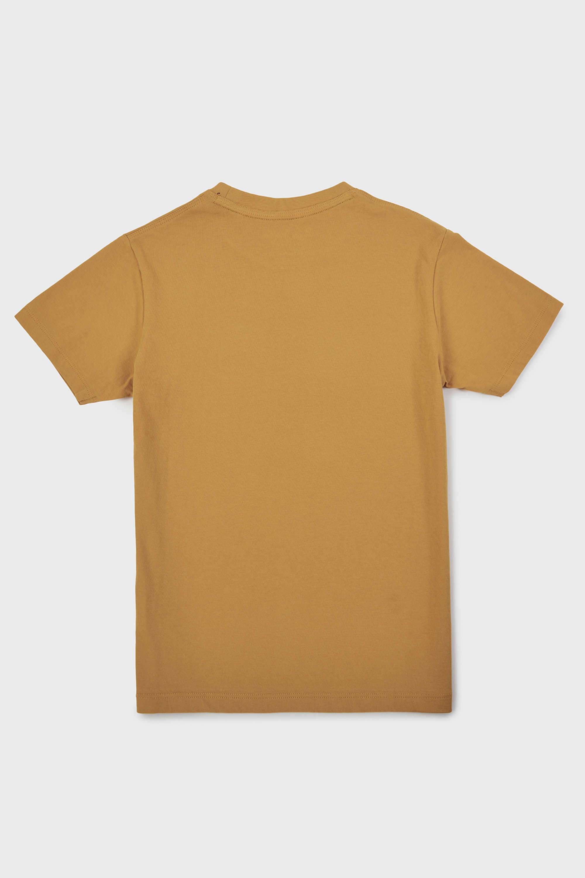 Graphic-Print-Cotton-Round-Neck-Boy-s-T-Shirt