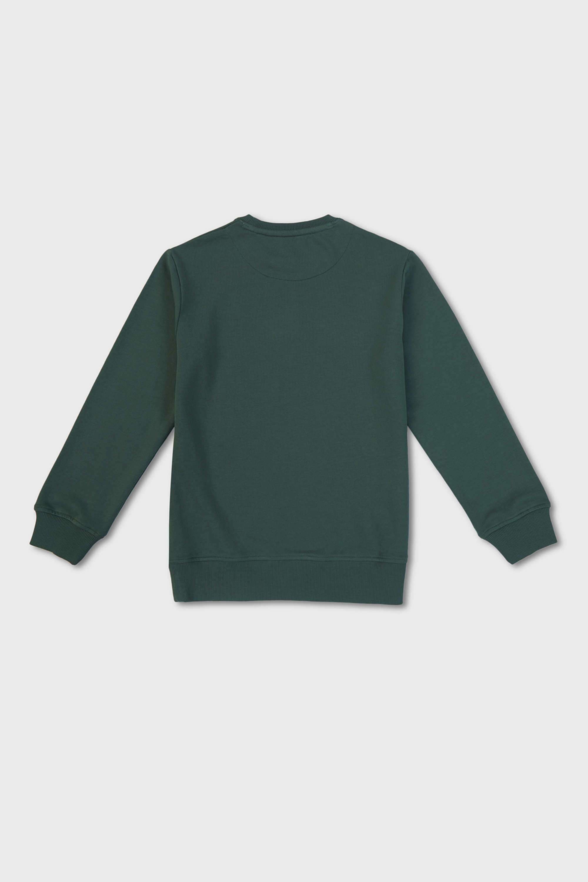 Graphic-Print-Cotton-Round-Neck-Boy-s-Sweatshirt