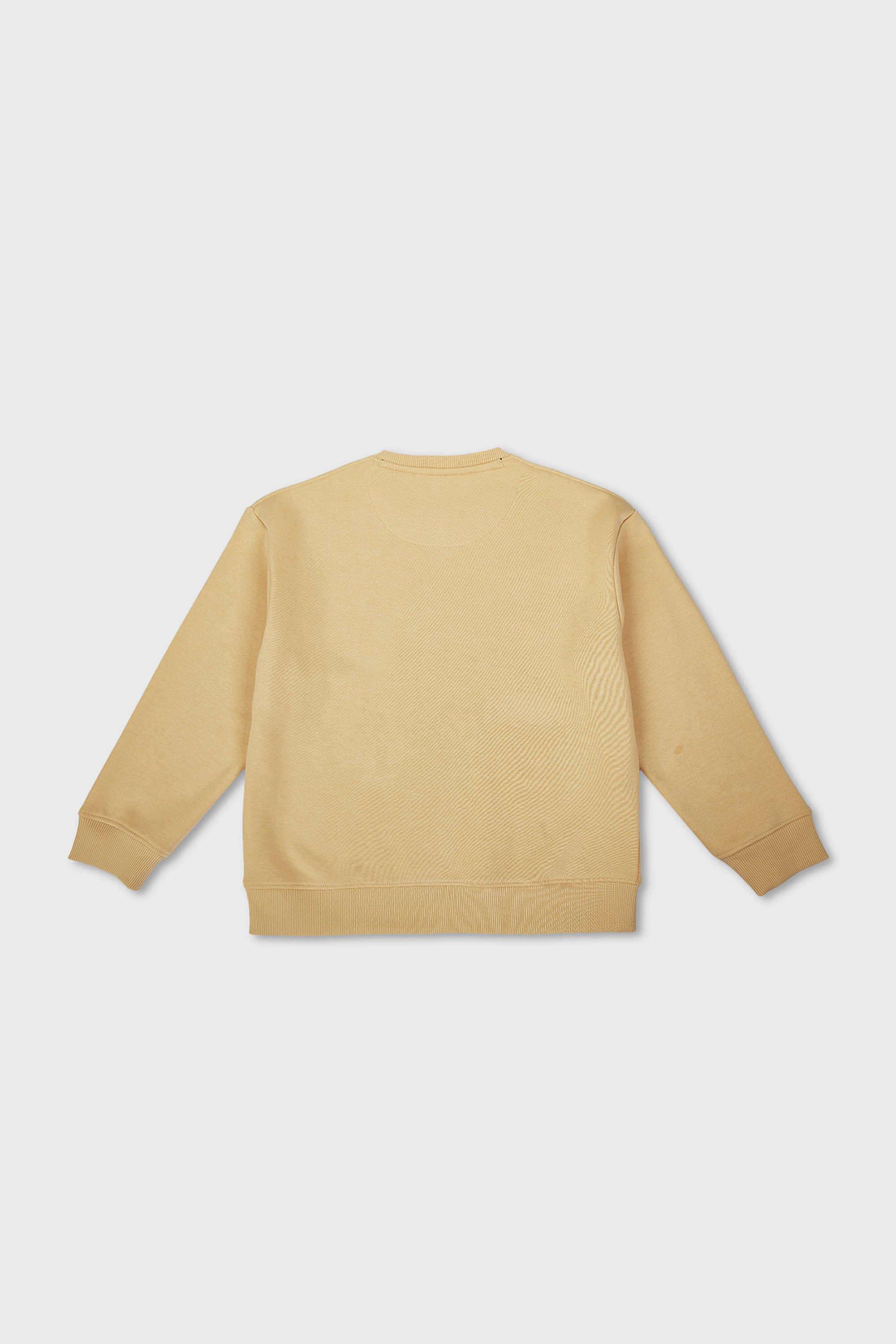 Graphic-Print-Cotton-Blend-Round-Neck-Boy-s-Sweatshirt