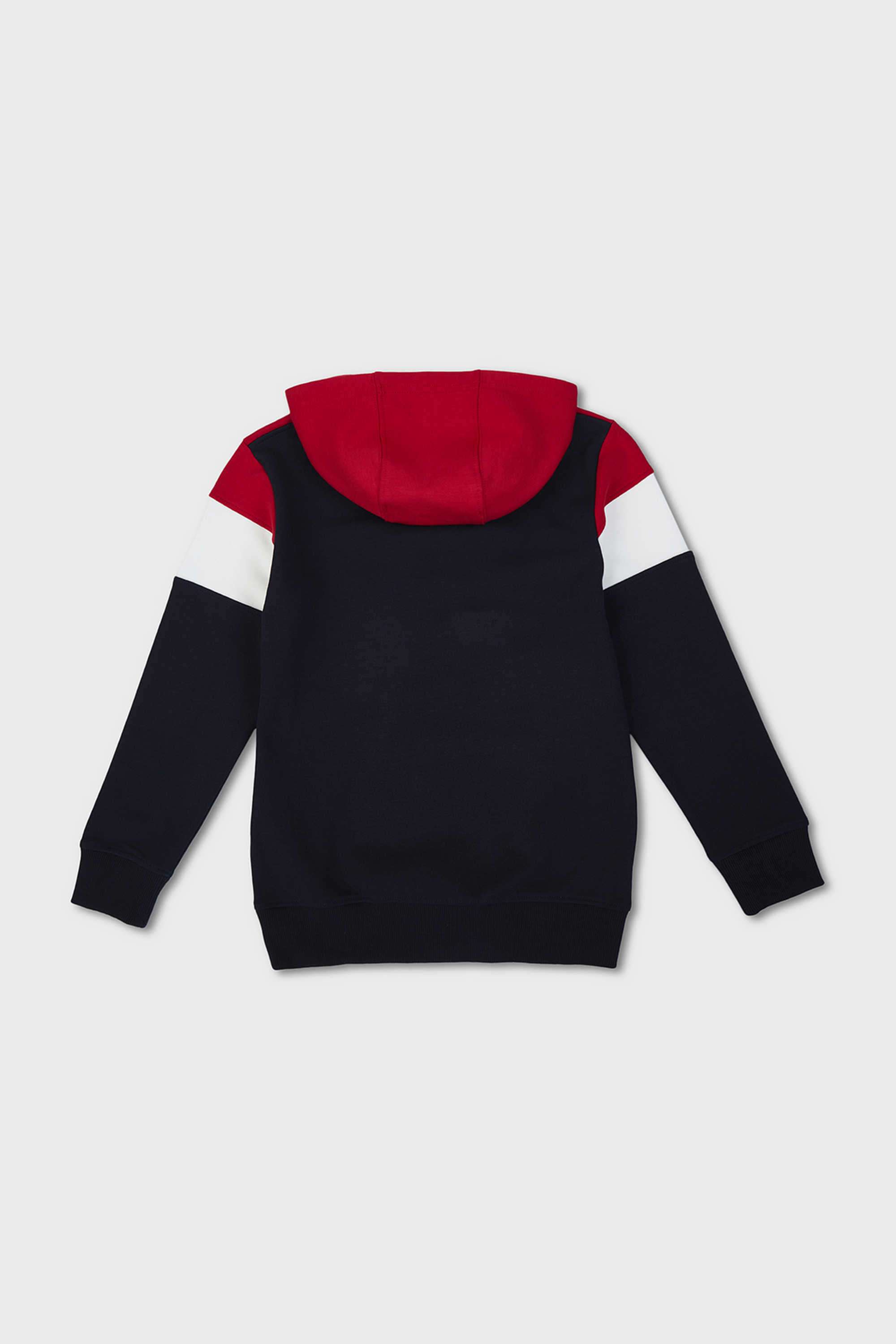 Graphic-Print-Cotton-Blend-Hooded-Boy-s-Sweatshirt