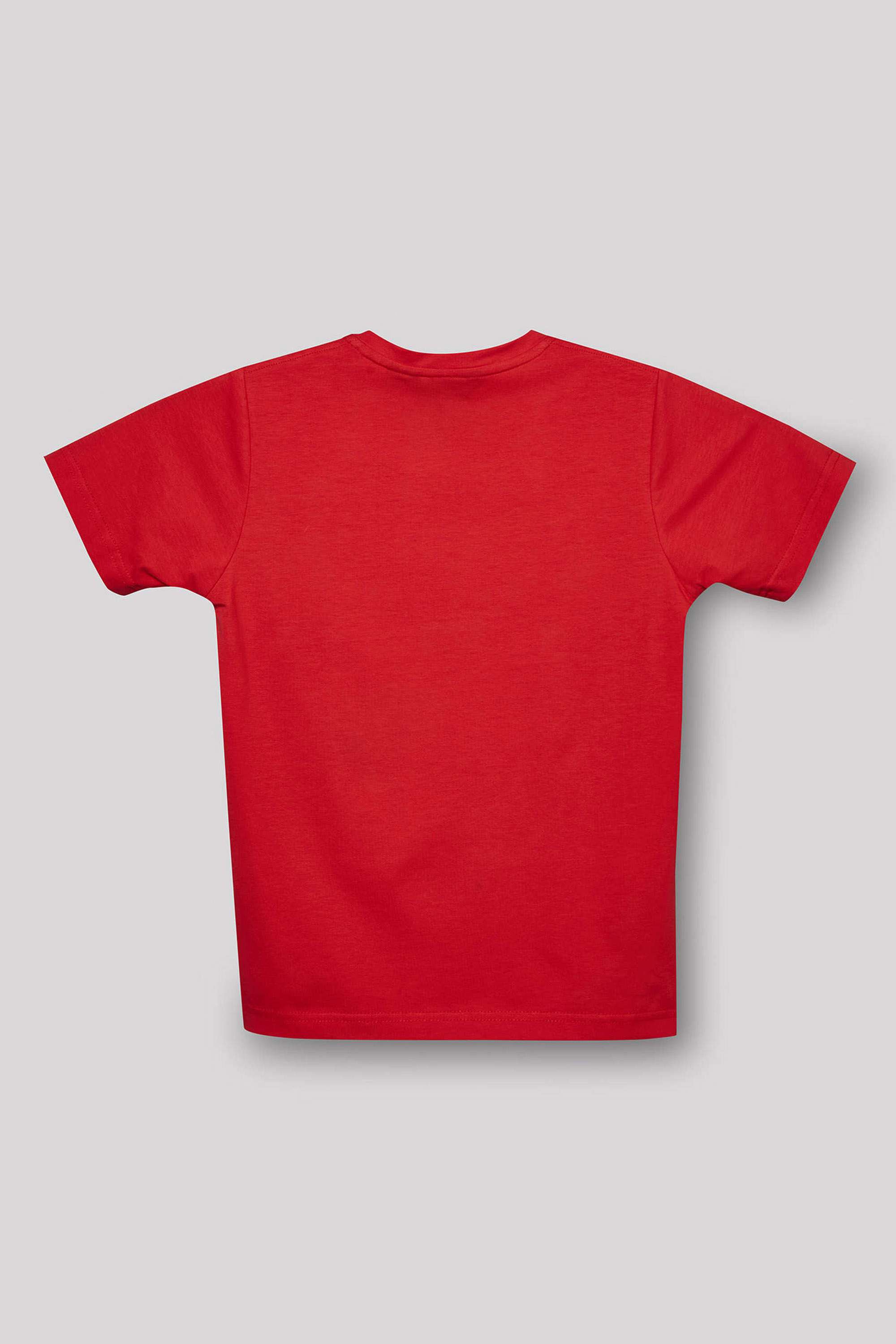 Printed-Blended-Fabric-Boys-Casual-Wear-T-Shirt