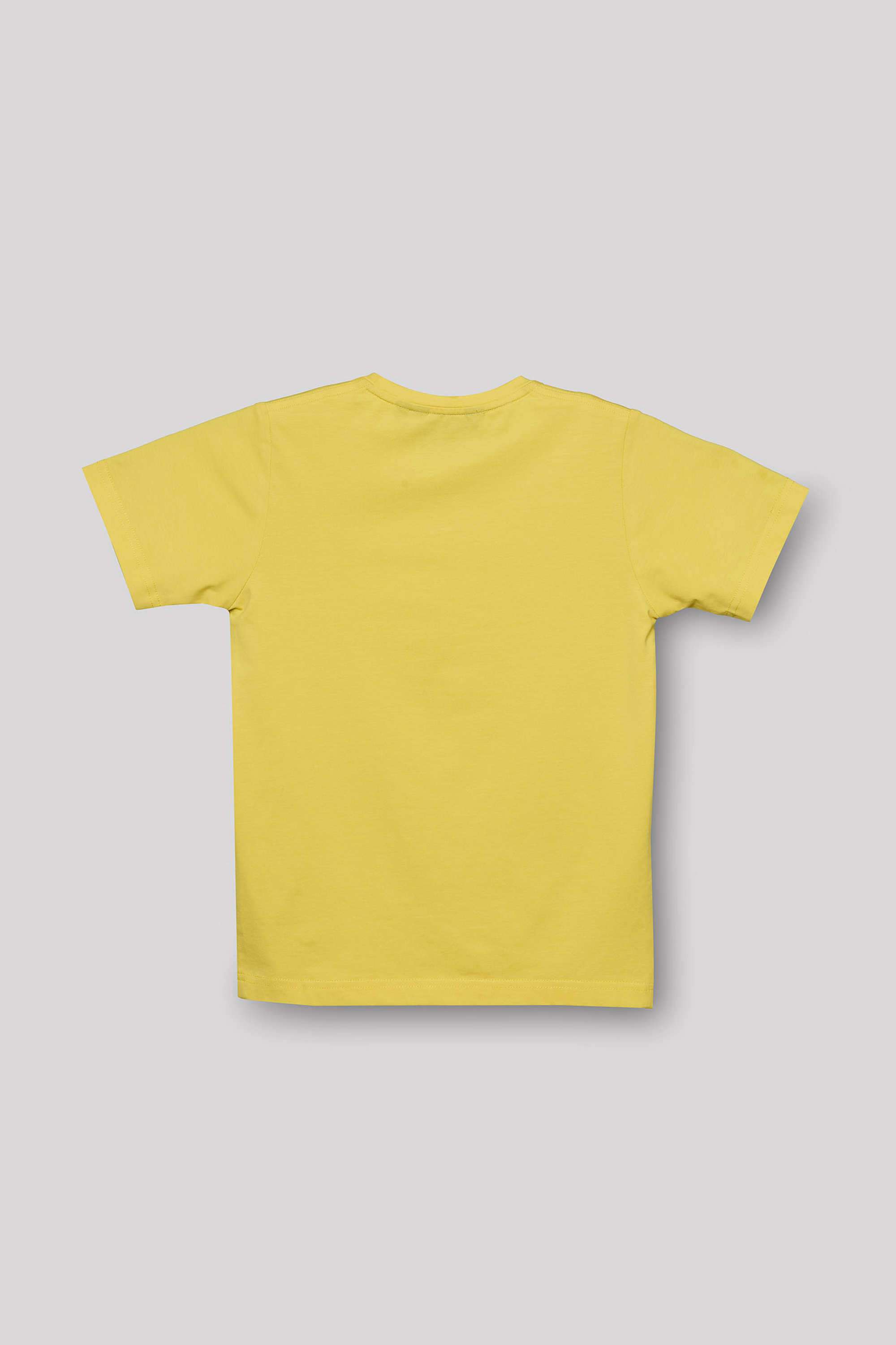 Printed-Blended-Fabric-Boys-Casual-Wear-T-Shirt