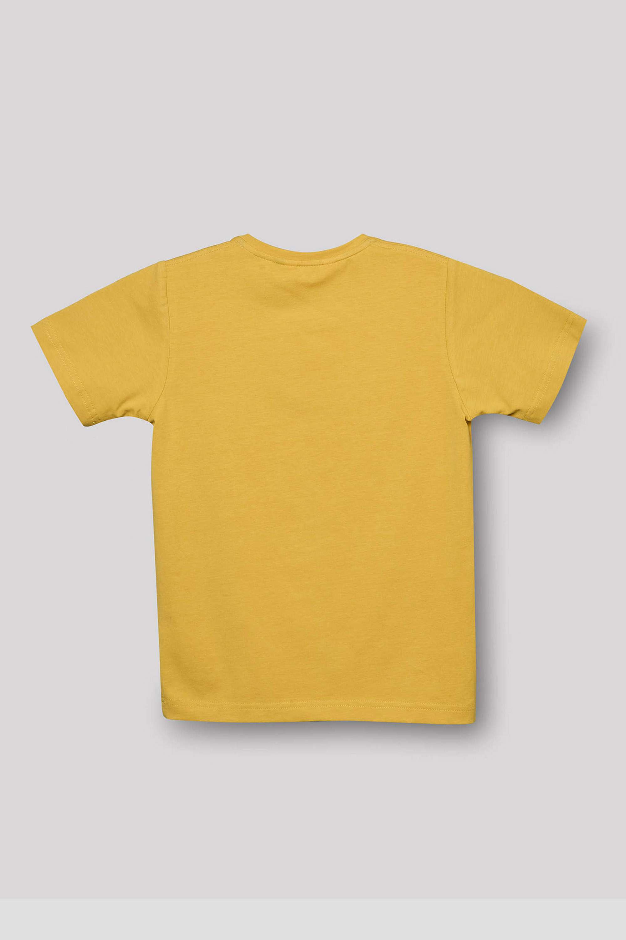 Printed-Blended-Fabric-Boys-Casual-Wear-T-Shirt