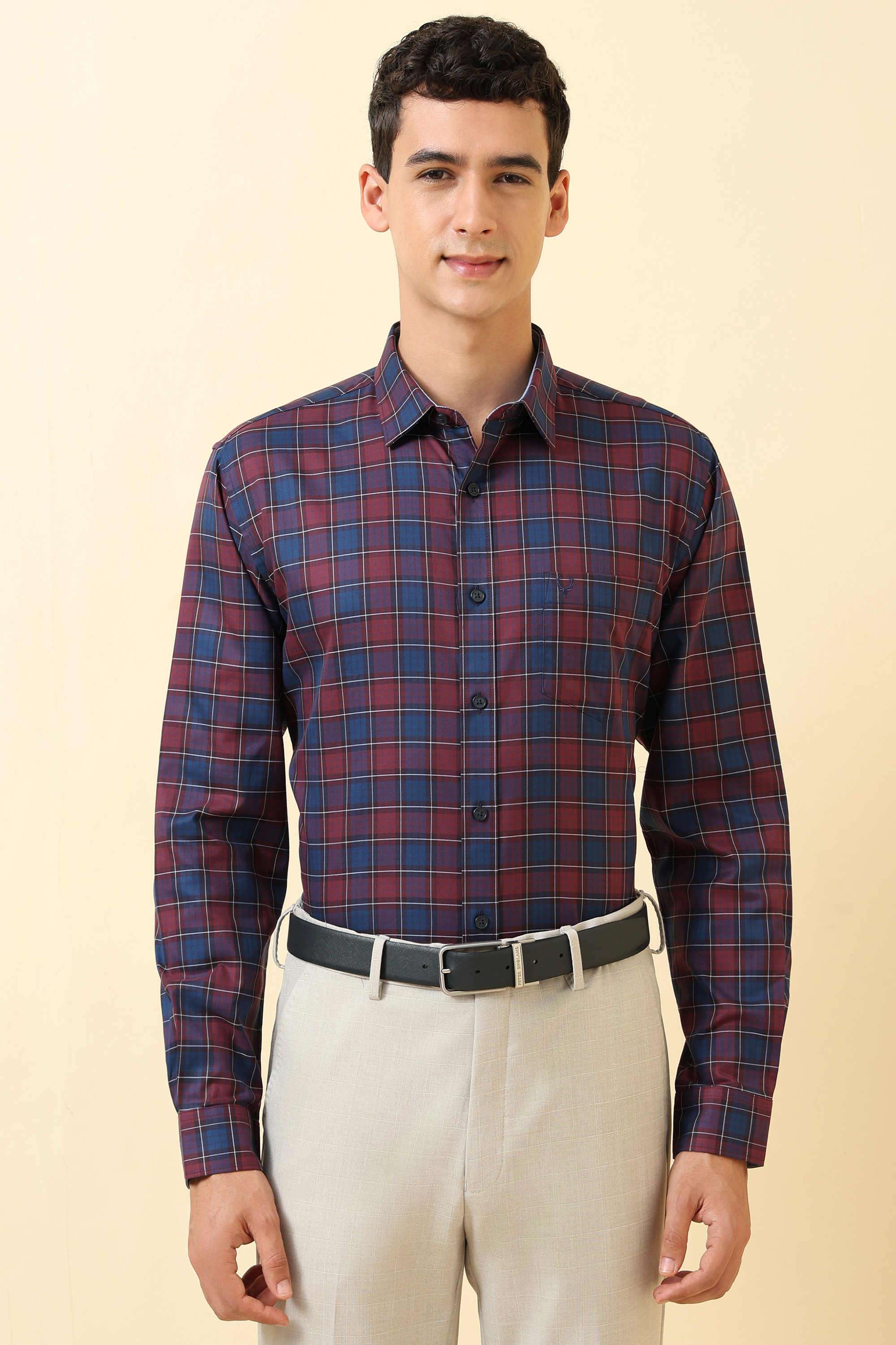 Checks-Cotton-Regular-Fit-Formal-Shirt