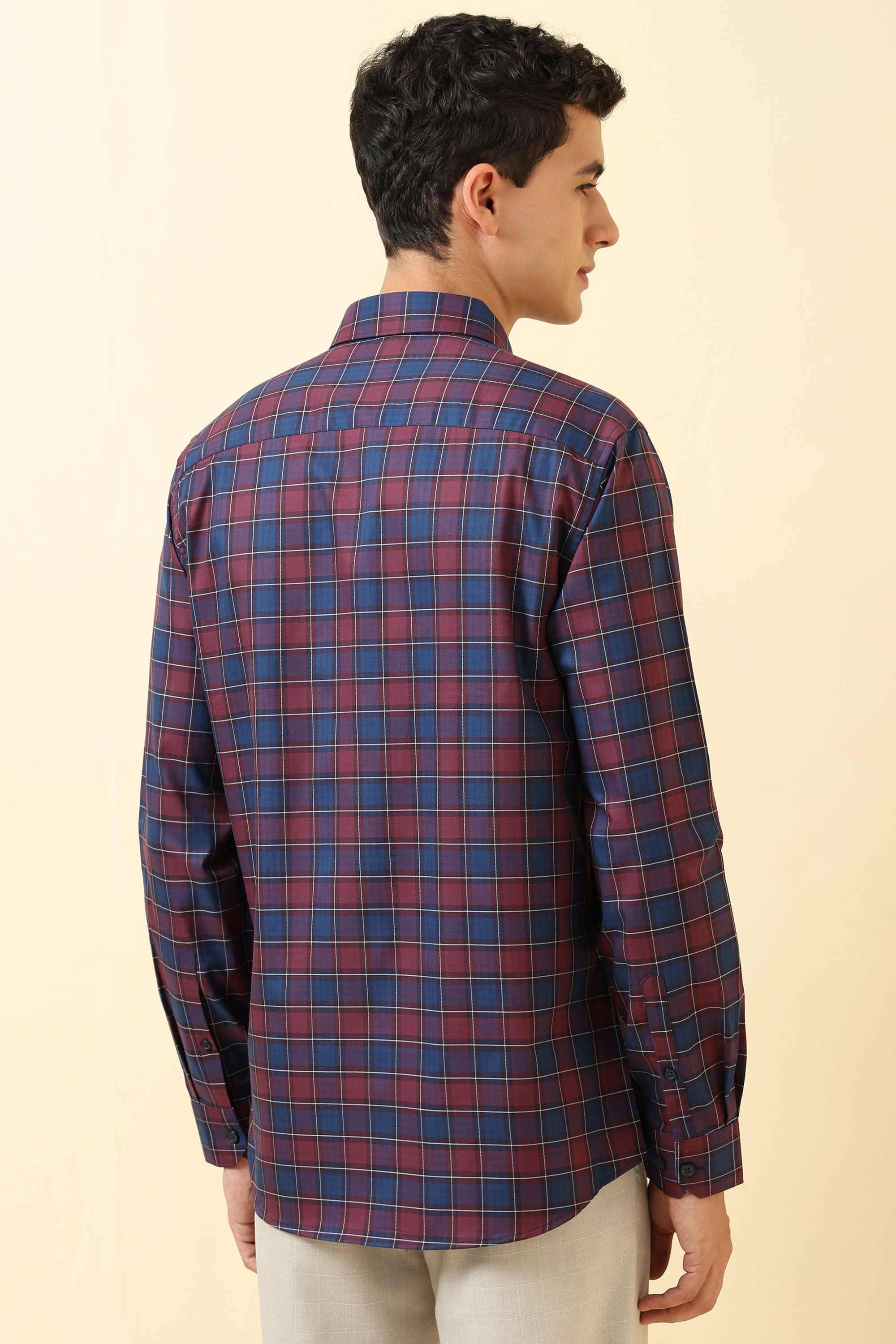 Checks-Cotton-Regular-Fit-Men-Formal-Wear-Shirt