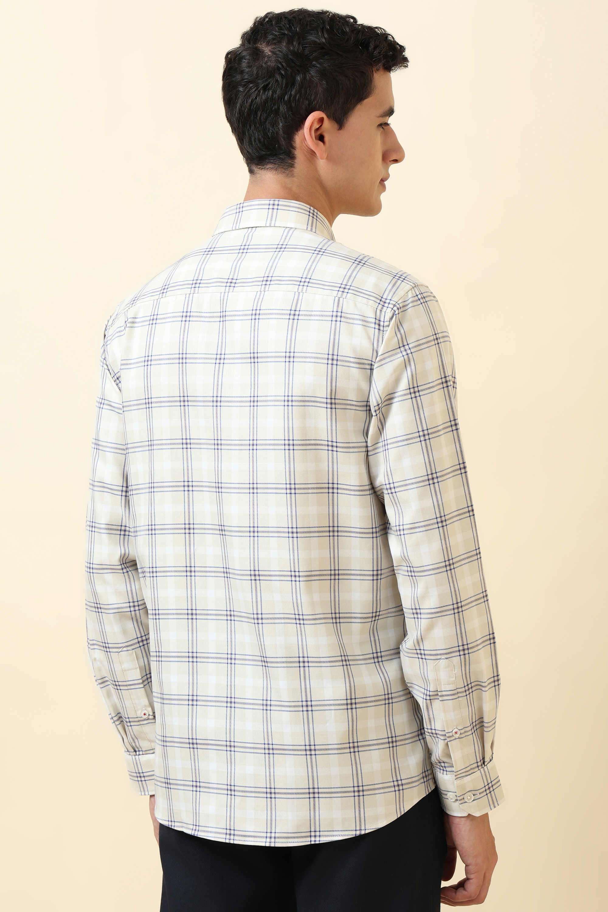 Checks-Cotton-Regular-Fit-Formal-Shirt