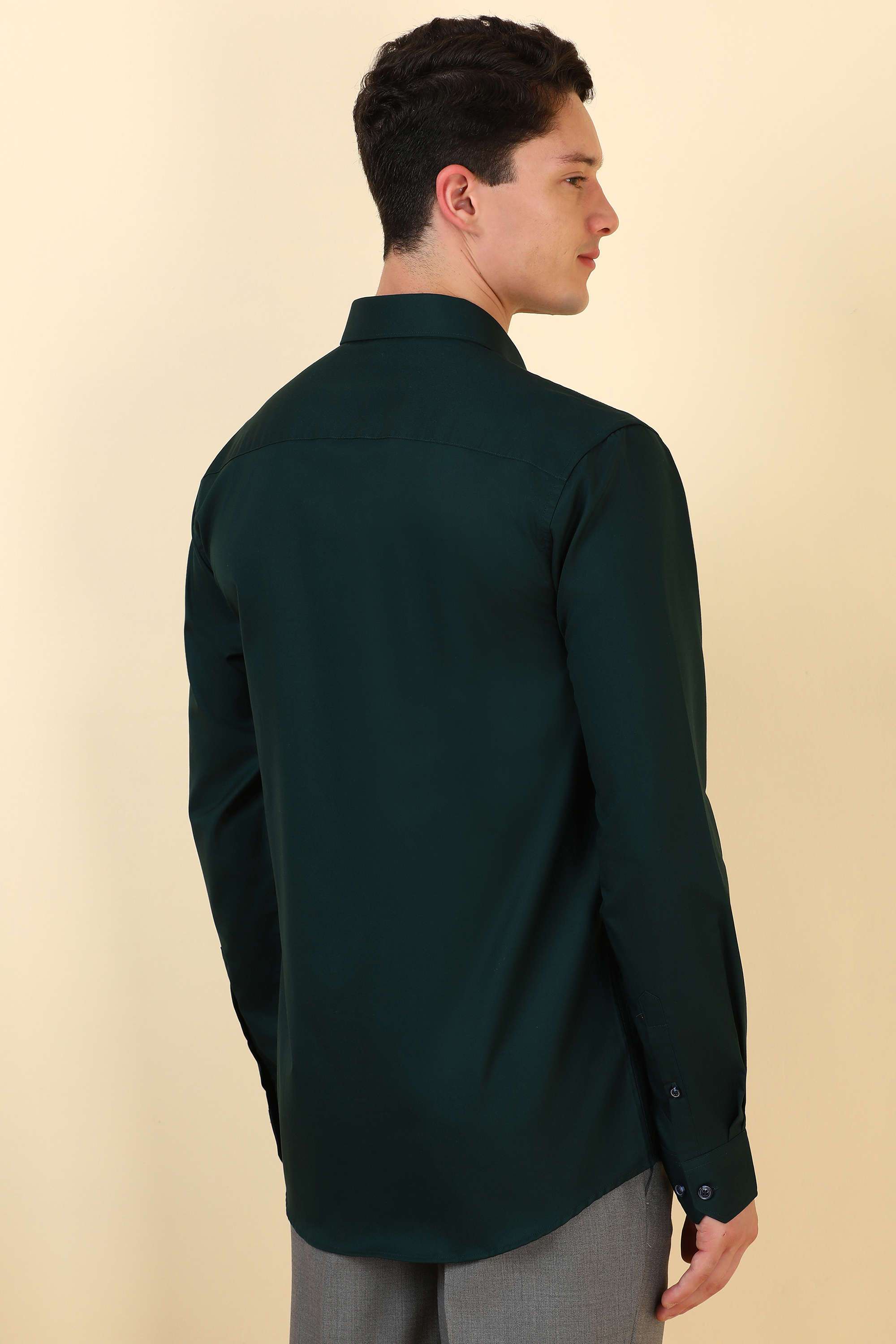 Textured-Cotton-Regular-Fit-Men-Formal-Wear-Shirt