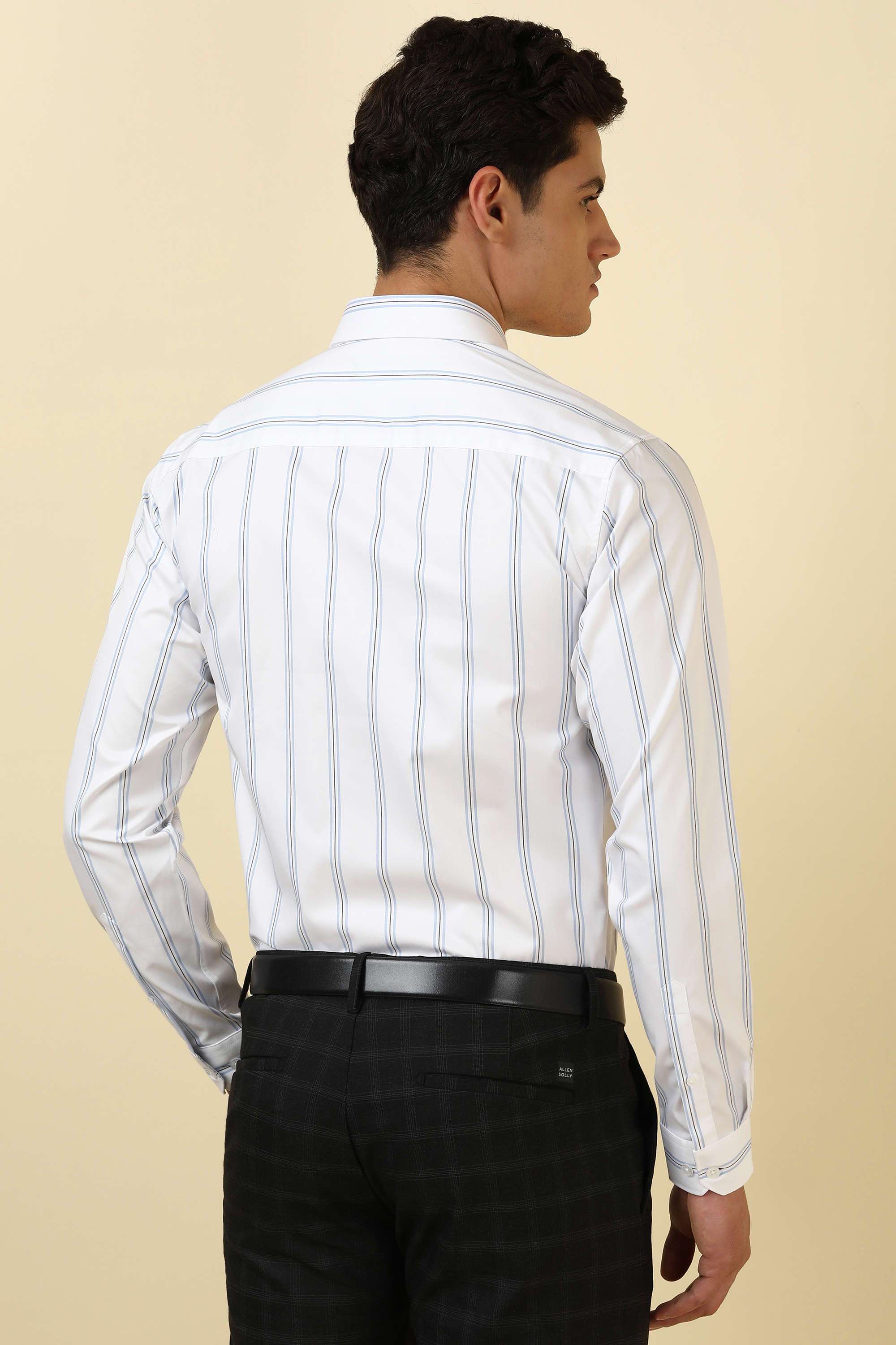 Stripes-Cotton-Regular-Fit-Men-Formal-Wear-Shirt